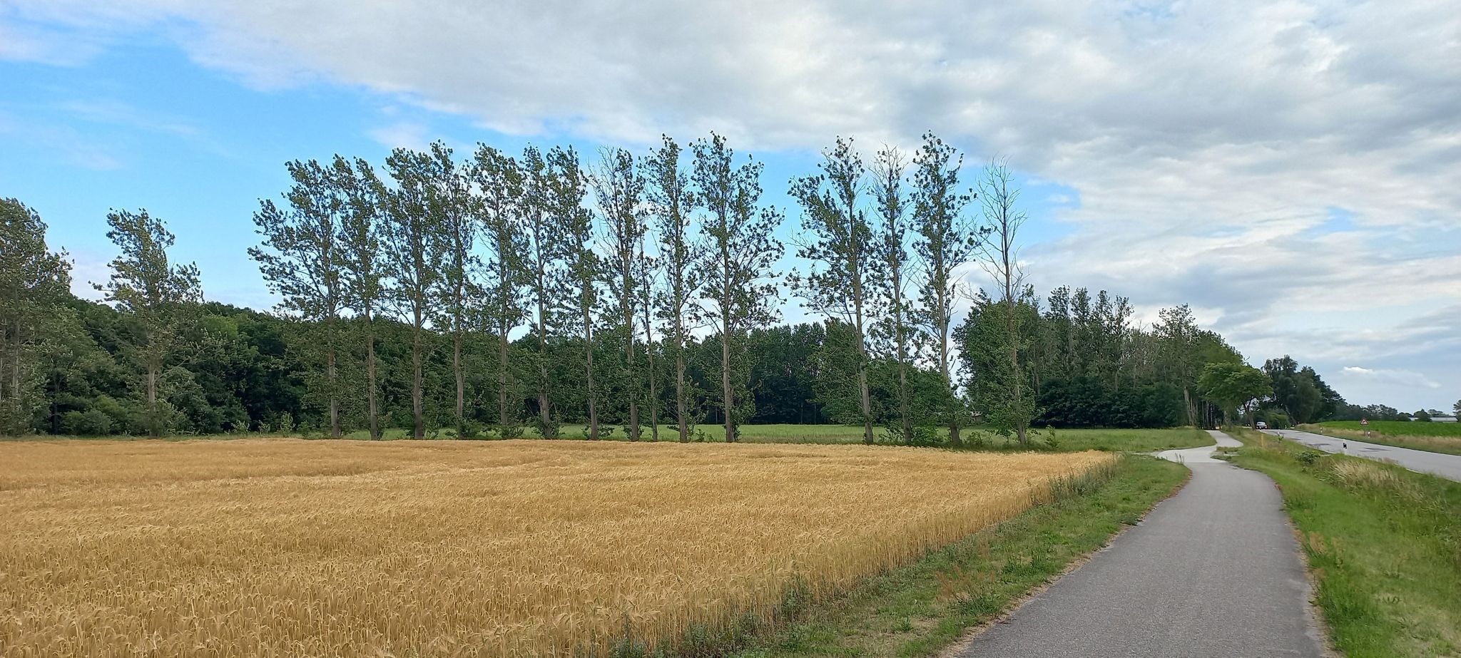 Radweg Richtung Damgarten