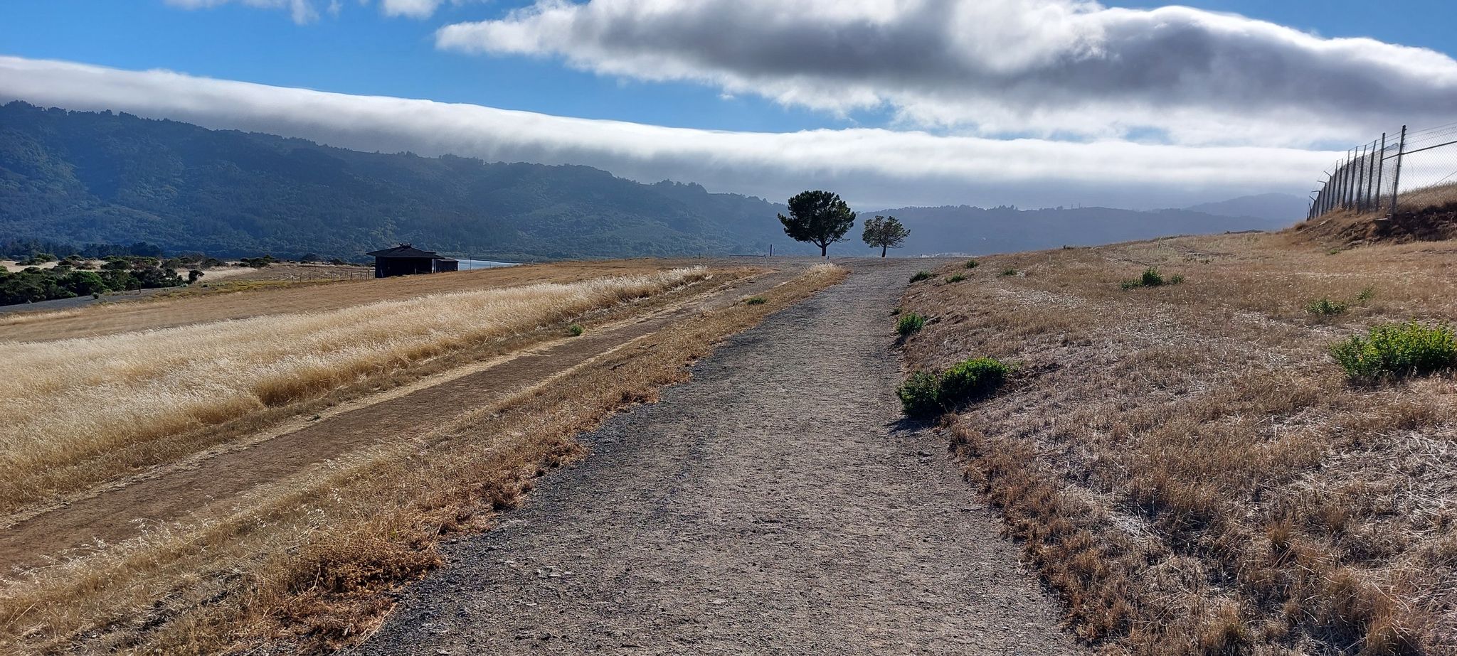 Dirt path through dry golden grass, with distant trees and cloudy mountains. - Water Dog Lake – Chaparral Trail loop from Waterdog Lake Open Space