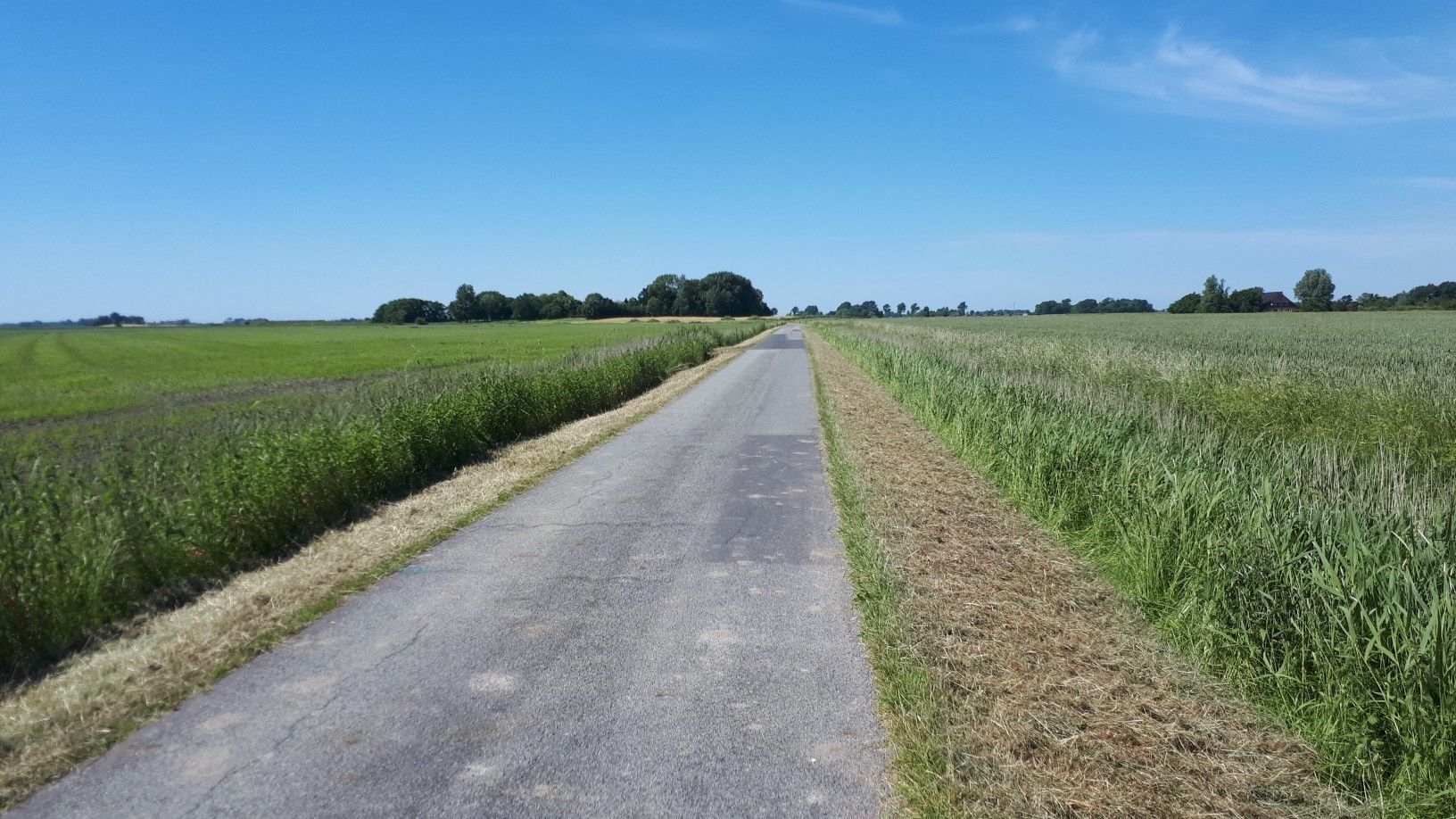 Never ending road....wunderschön zu fahren