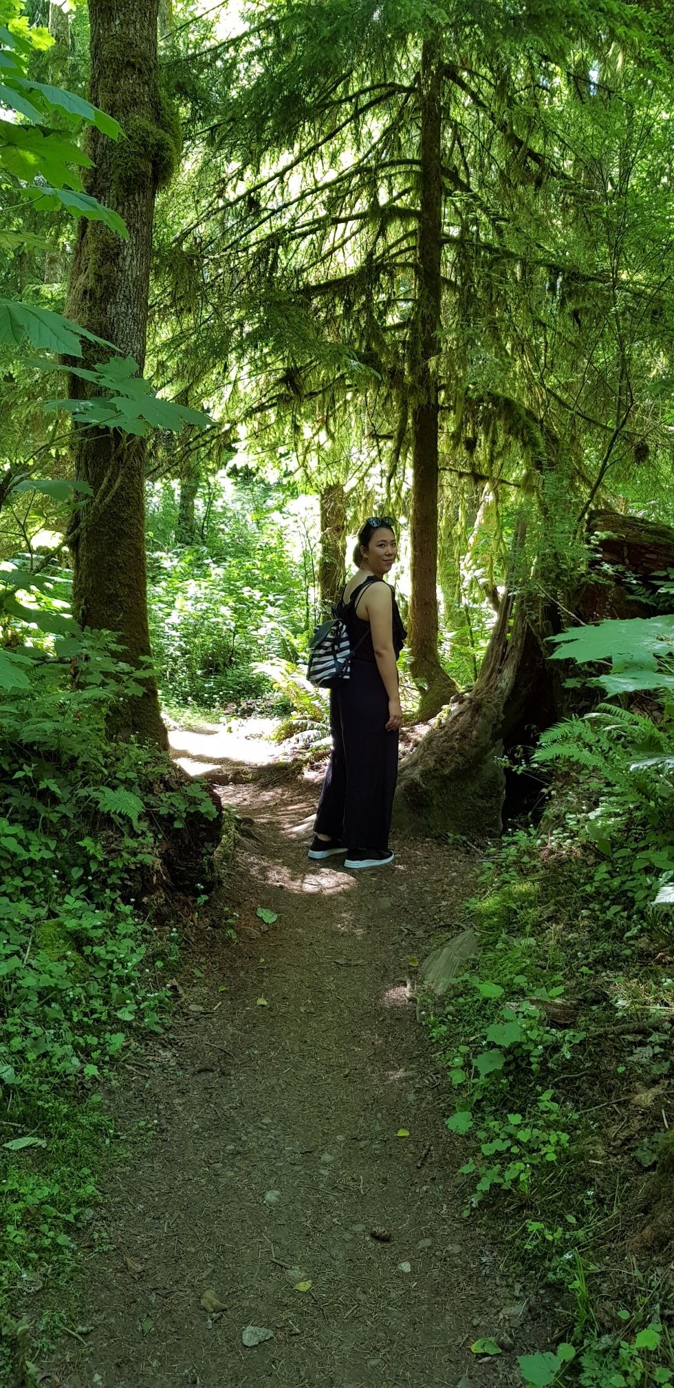 Person with backpack standing on a sunlit forest path among tall trees. - Cougar Mountain to East Fork Trail via Coal Creek Falls loop
