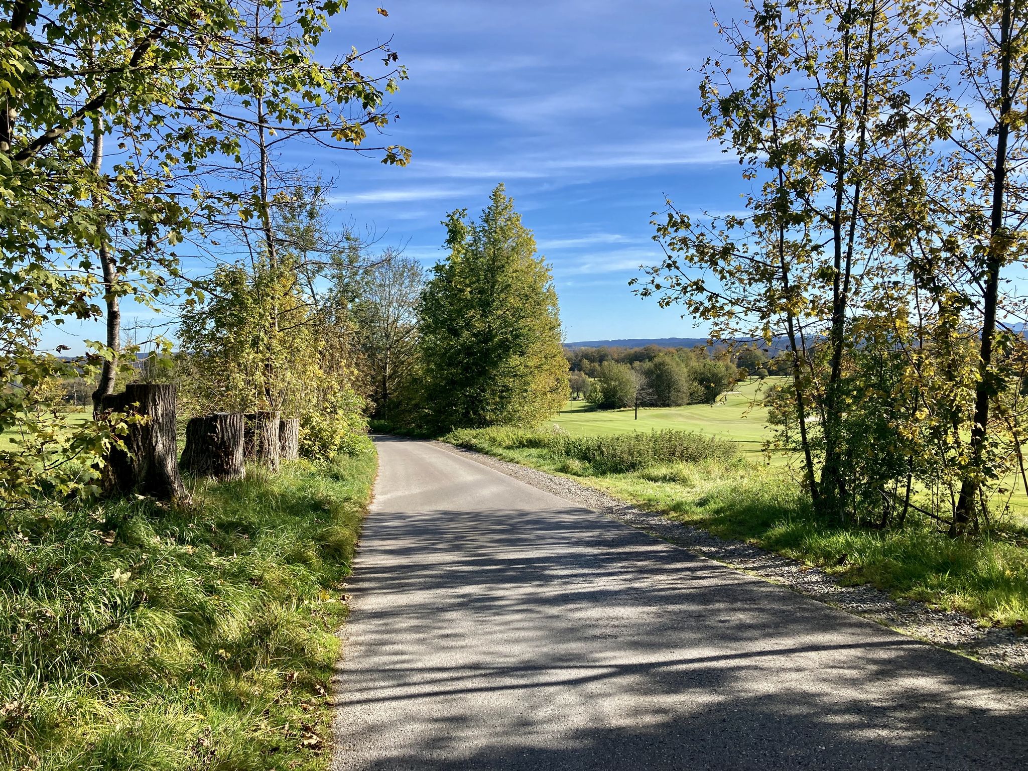 Traumsträßchen nach Münsing ....