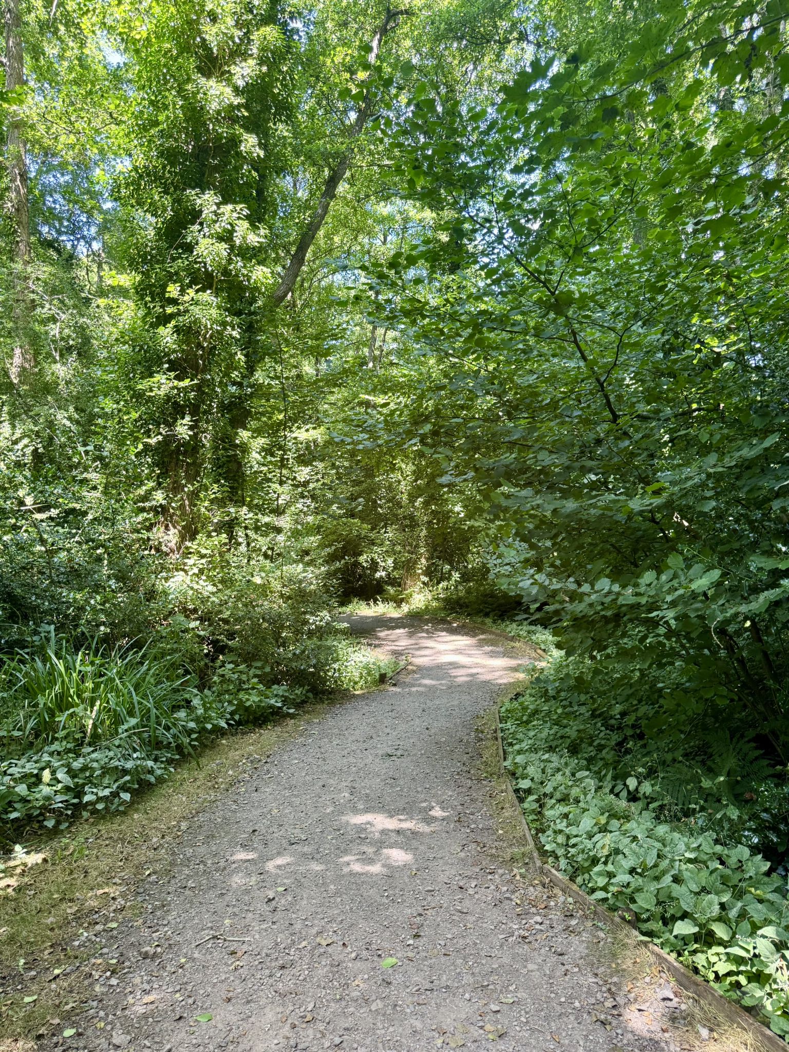King Alfred's Trail - Scotchel Nature Reserve