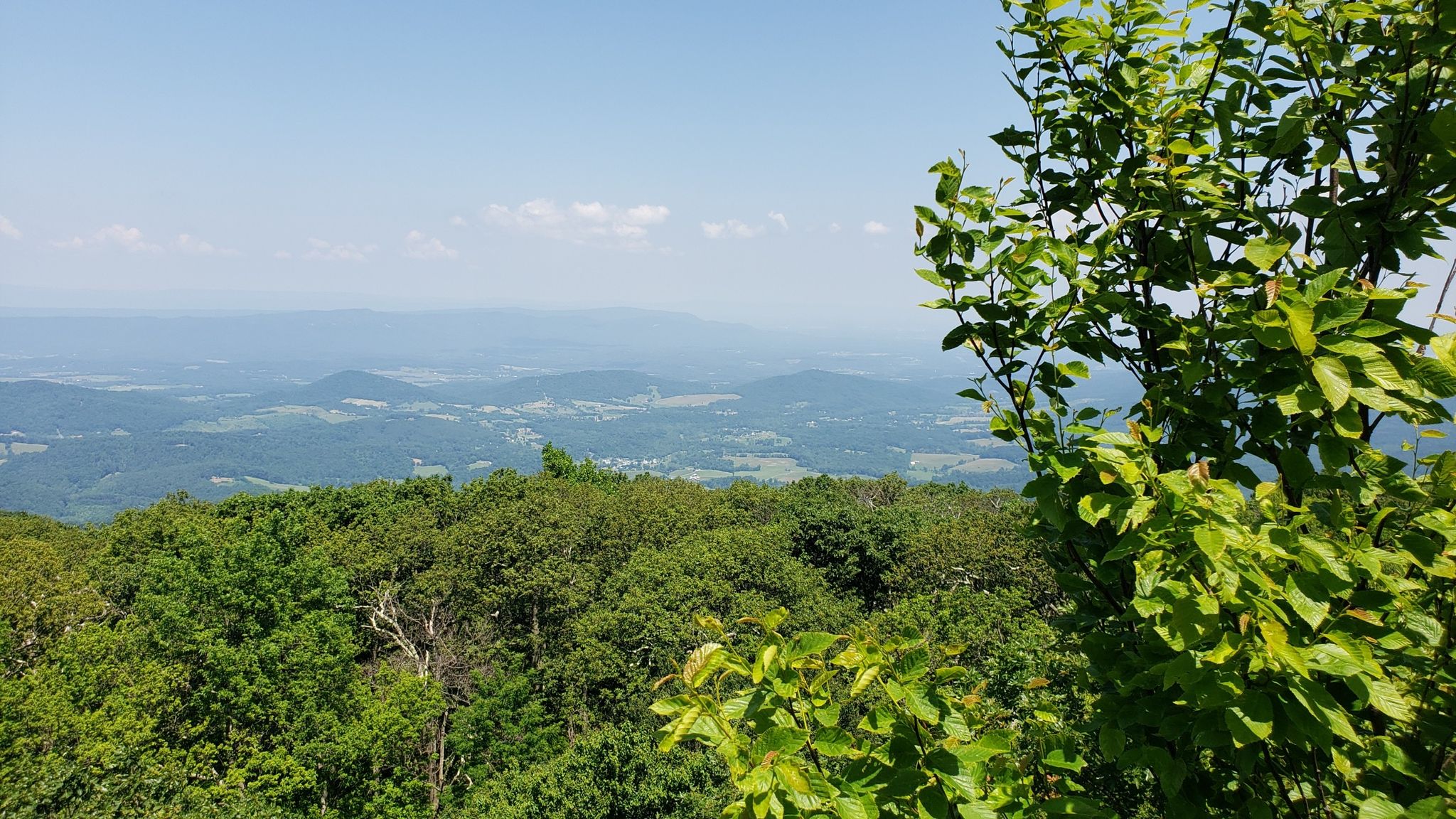 Expansive mountain vista with lush green trees under a bright blue sky. - North and South Marshall via Appalachian Trail
