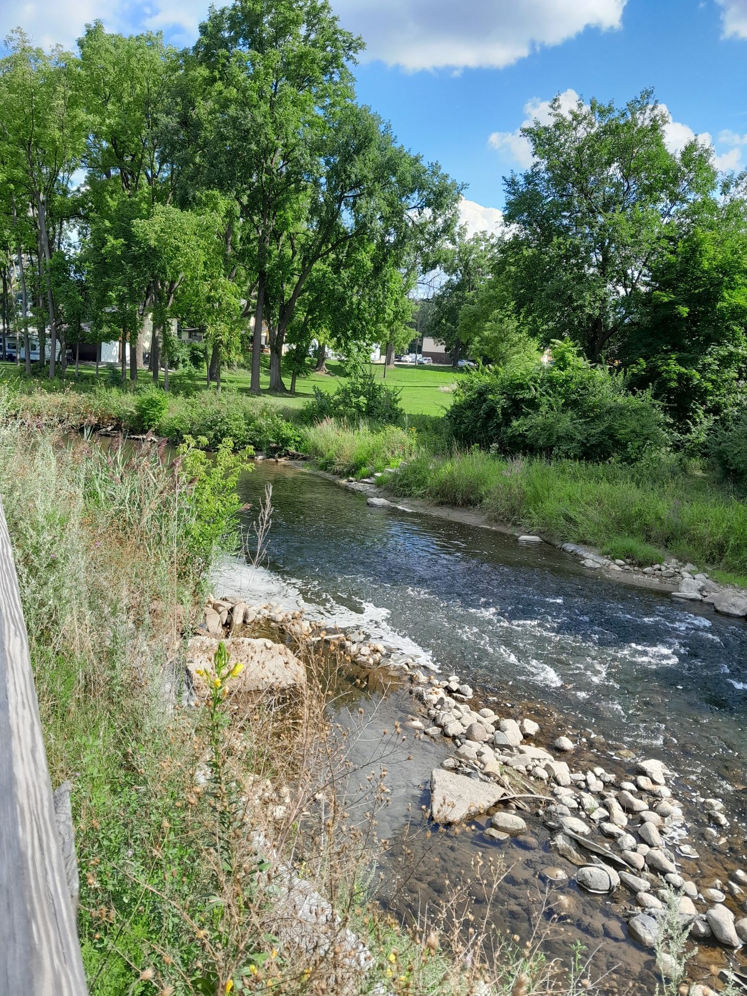 A rocky river flows past green trees and grass under a blue sky. - Rochester Riverwalk – Clinton River Trail loop from Leach Road Trailhead Parking Lot