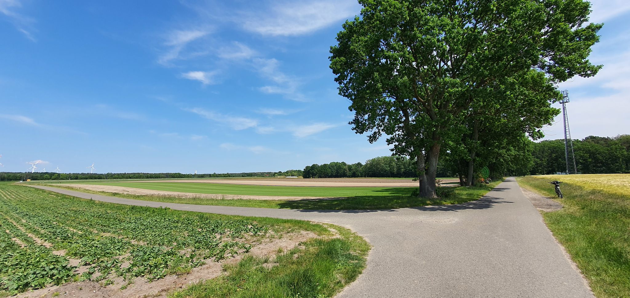 Blick links Horchposten in Barwedel - >> August Tour Drei - Horchposten Barwedel 48 km