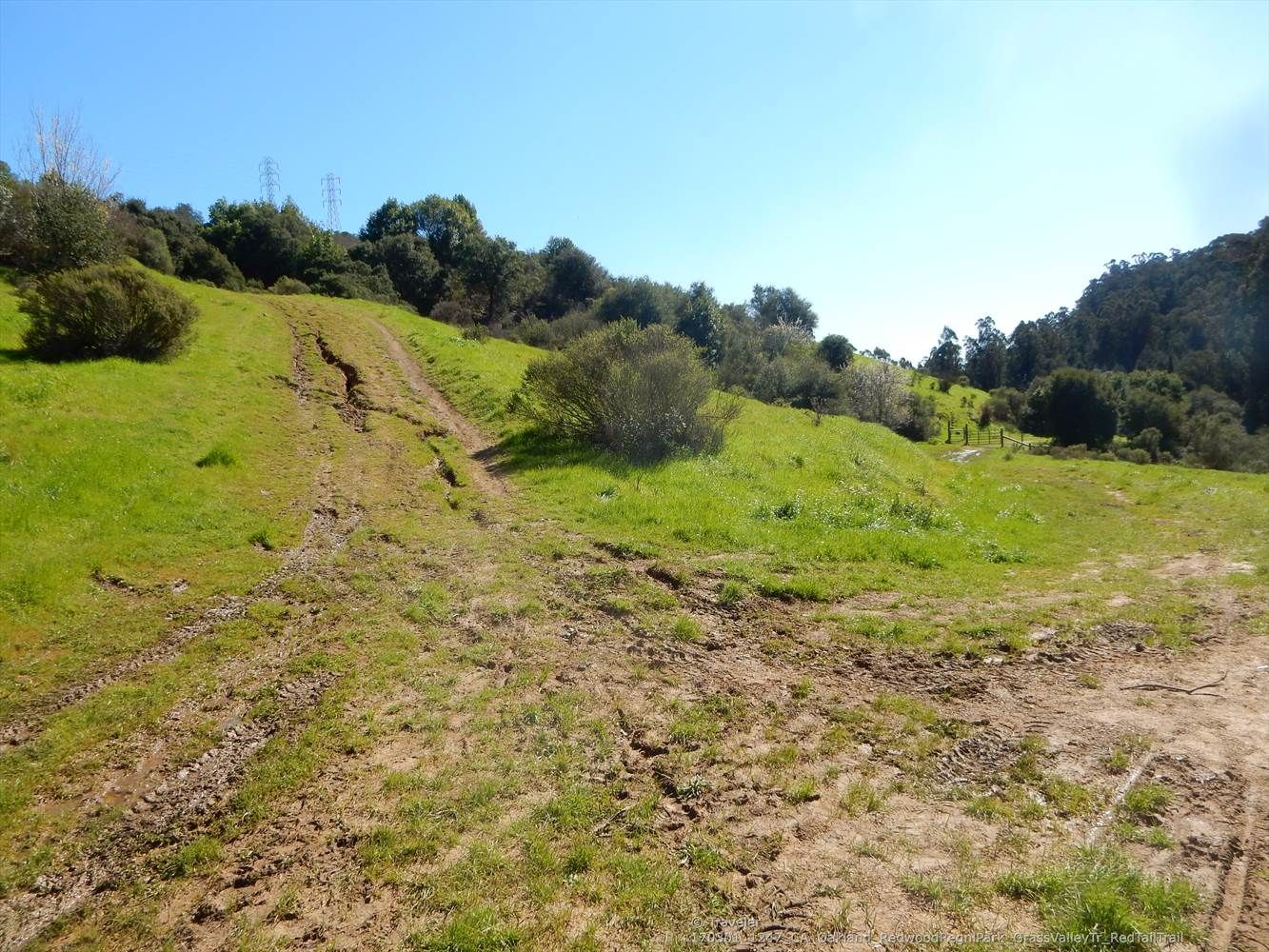 Muddy, rutted dirt path ascending a sunny green hillside. - Grass Valley Trail