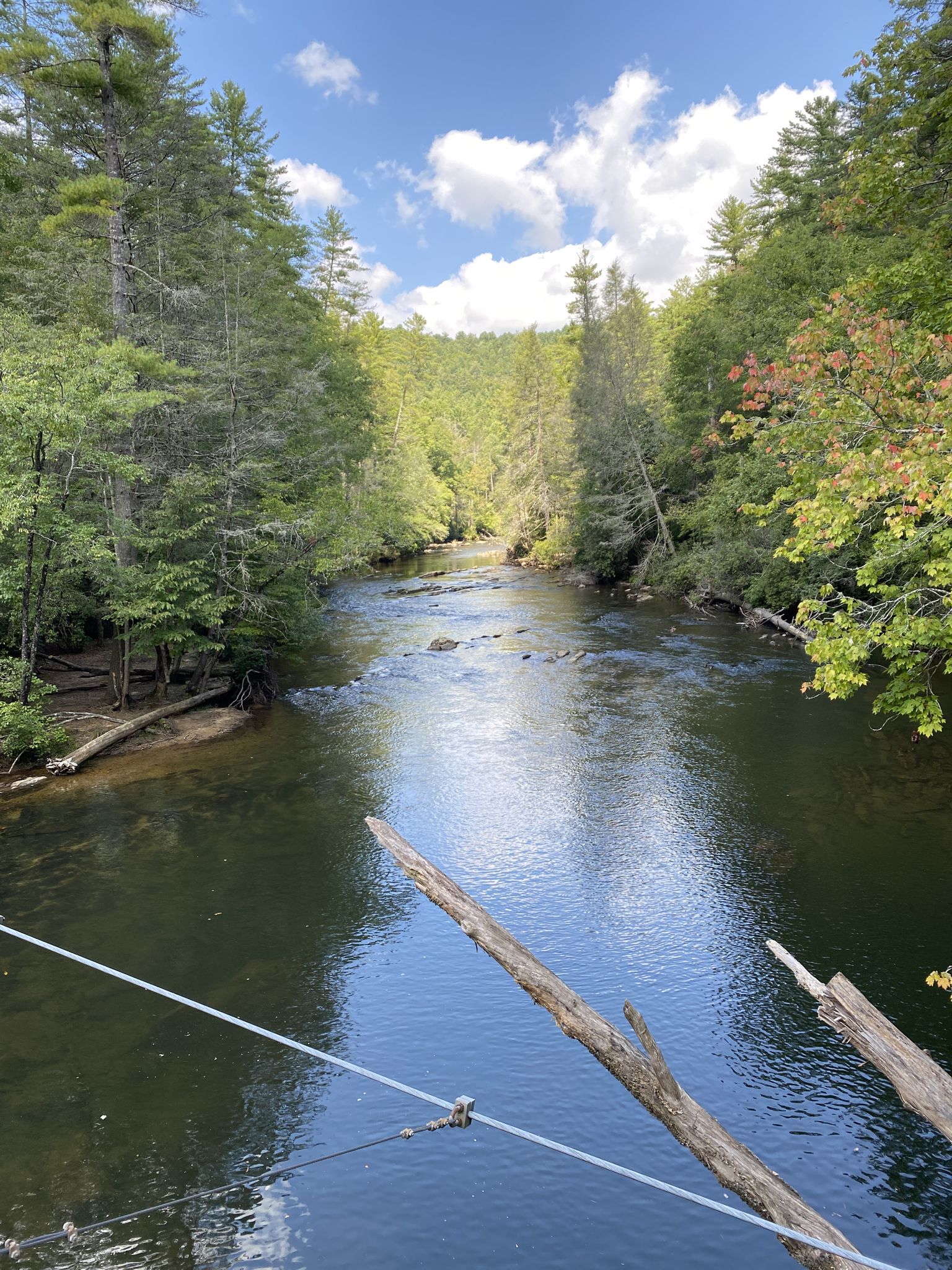 A calm river flows through a lush green forest under a blue sky. - Toccoa River Swinging Bridge Trail
