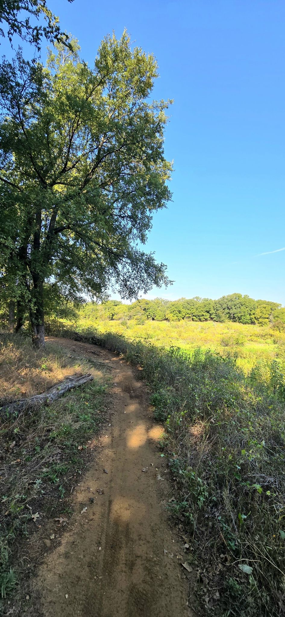 A narrow dirt path runs beside a sunny, expansive green field. - Twin Coves Marina loop from Grapevine Lake