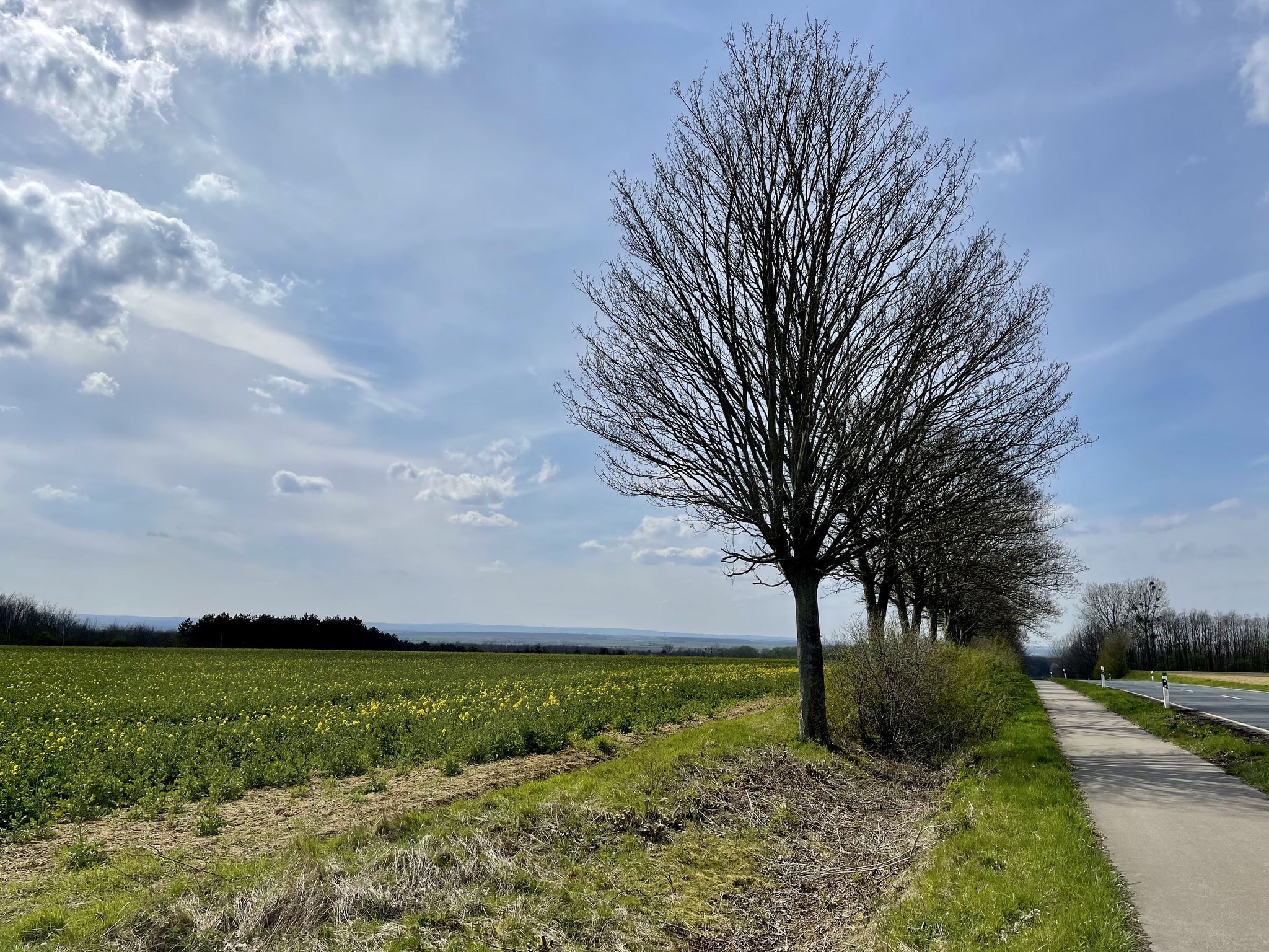 auf dem Weg nach Türnich