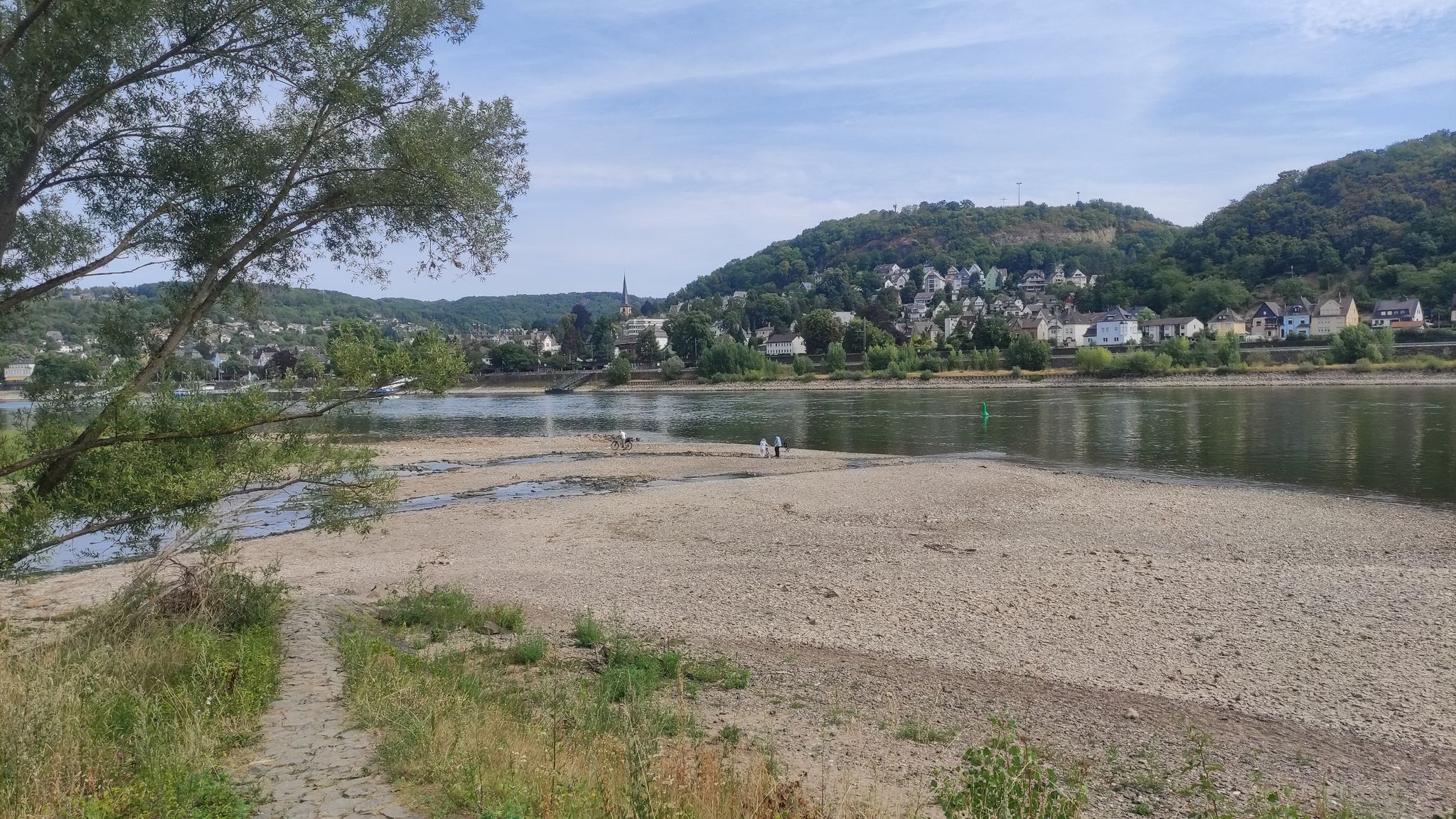Die Mündung der Ahr in den Rhein