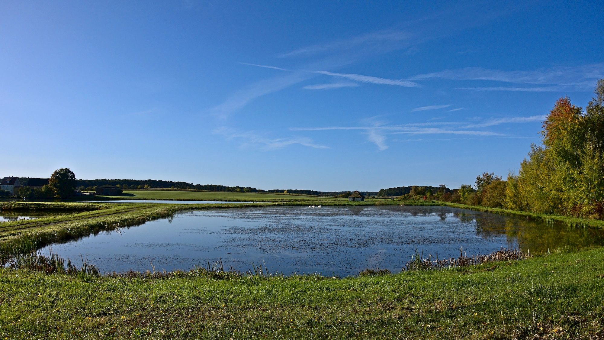 Erste Weiher bei der Ausfahrt aus Höchstadt a. d. Aisch