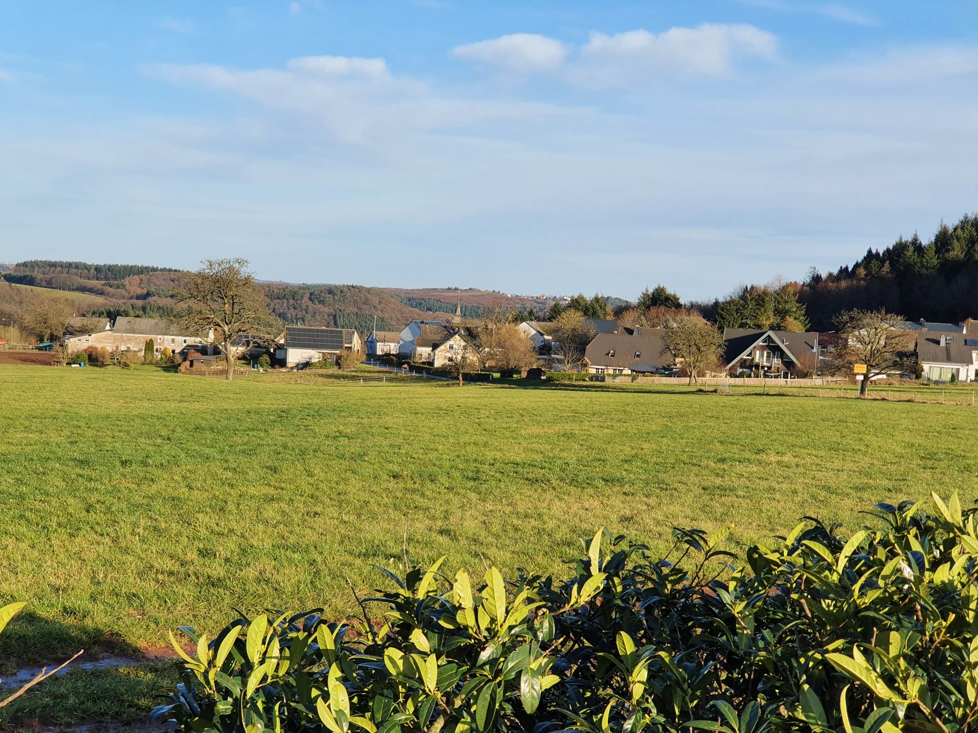 Ausblick Willwerscheid-Hontheim