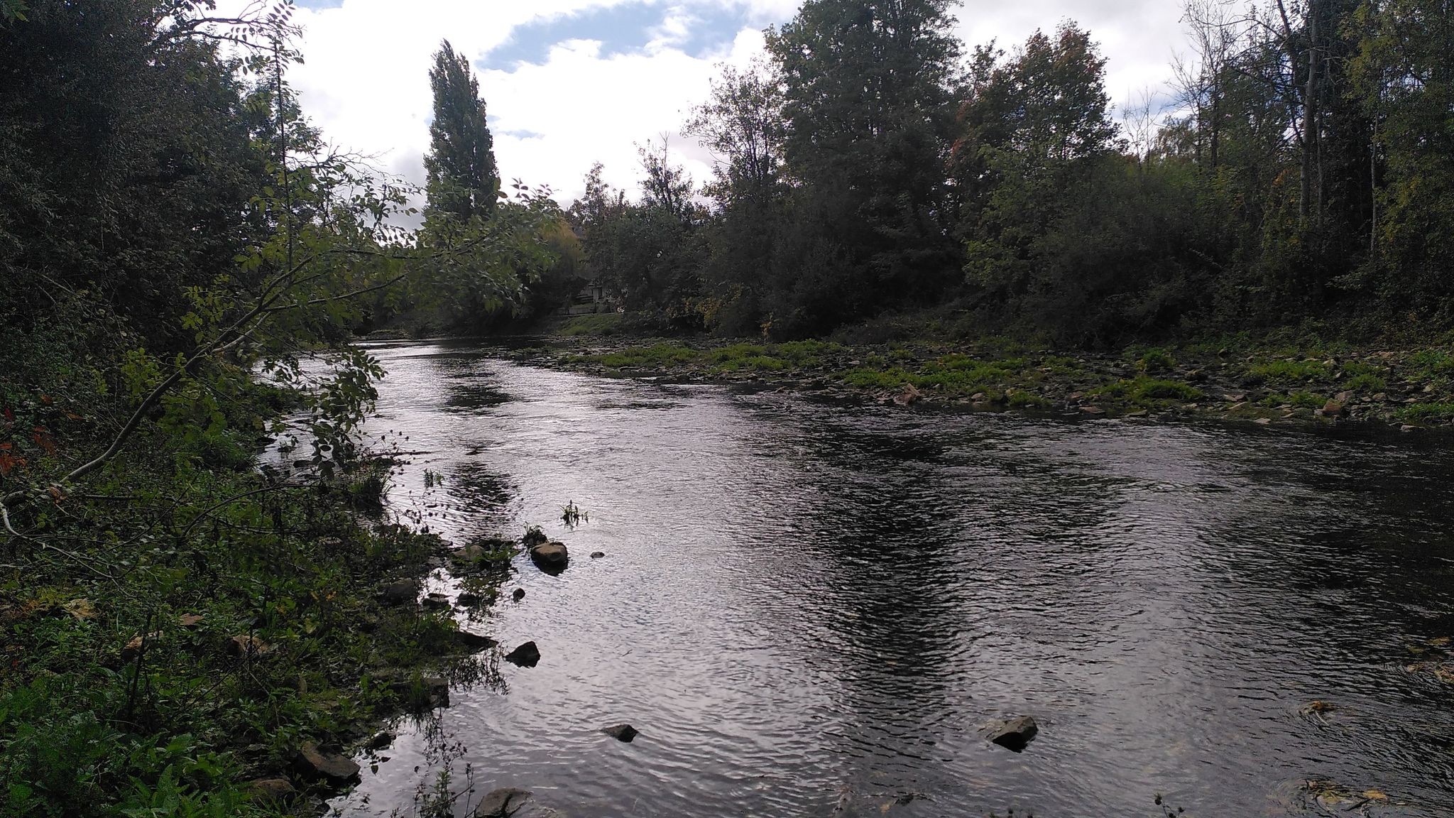 Rivier