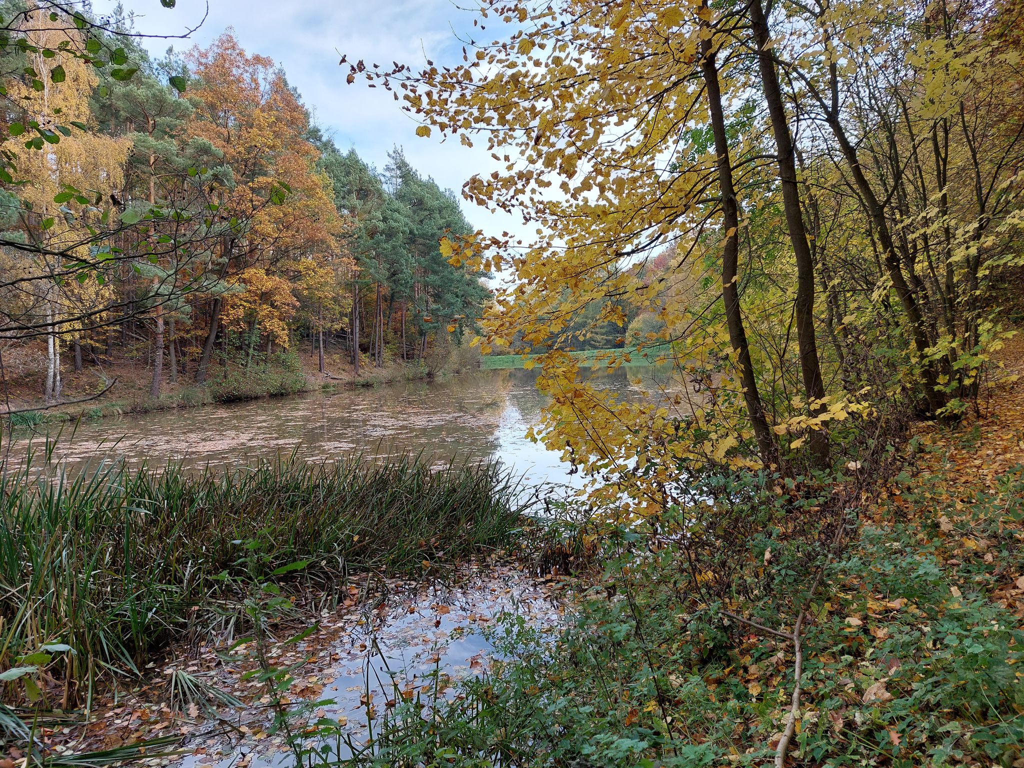 Blick auf Stauteich Speicher Ziegelrode