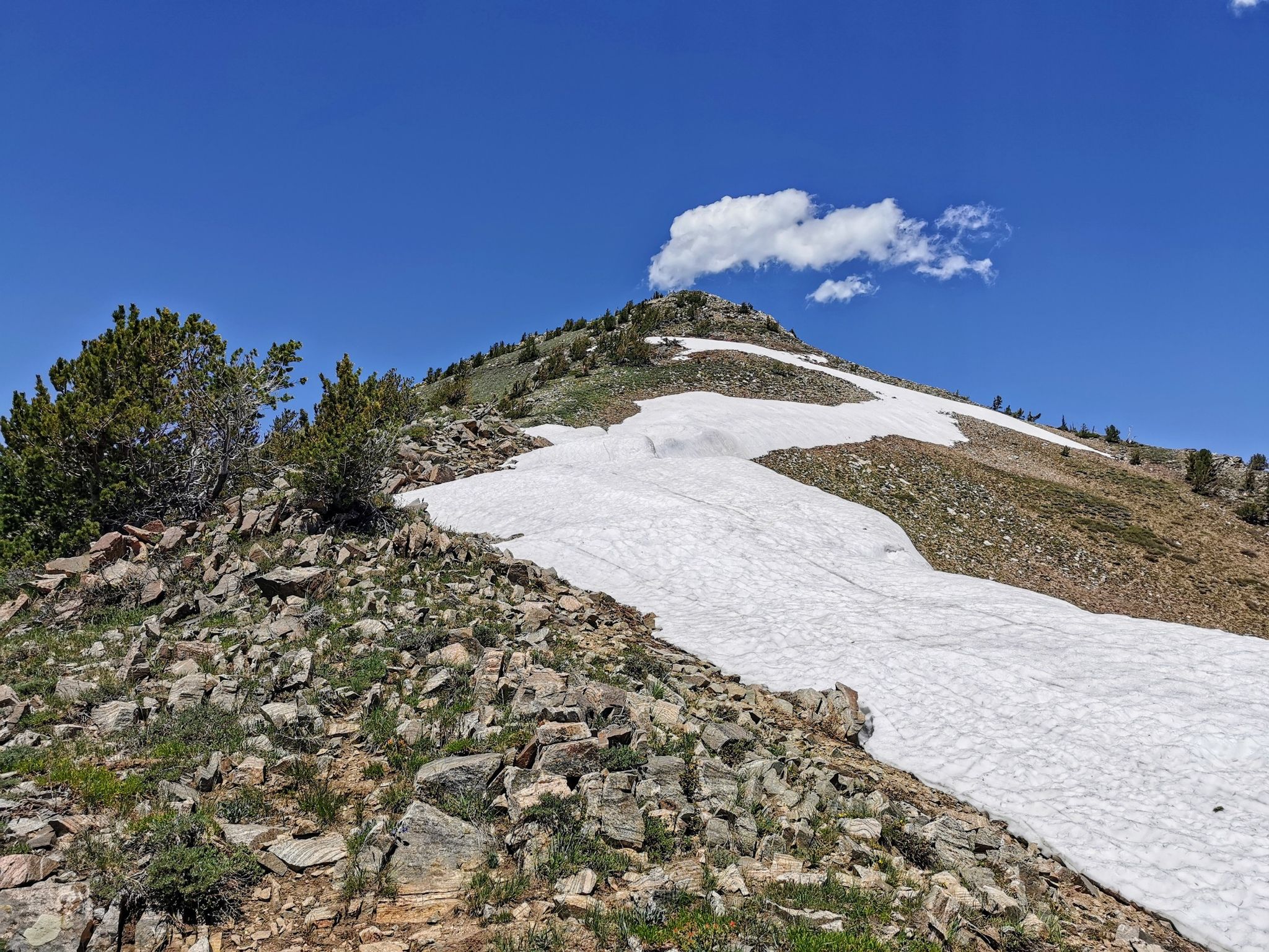 Rocky mountain slope with snow patches and green shrubs under a bright blue sky. - Thurston Peak via Francis Peak Road