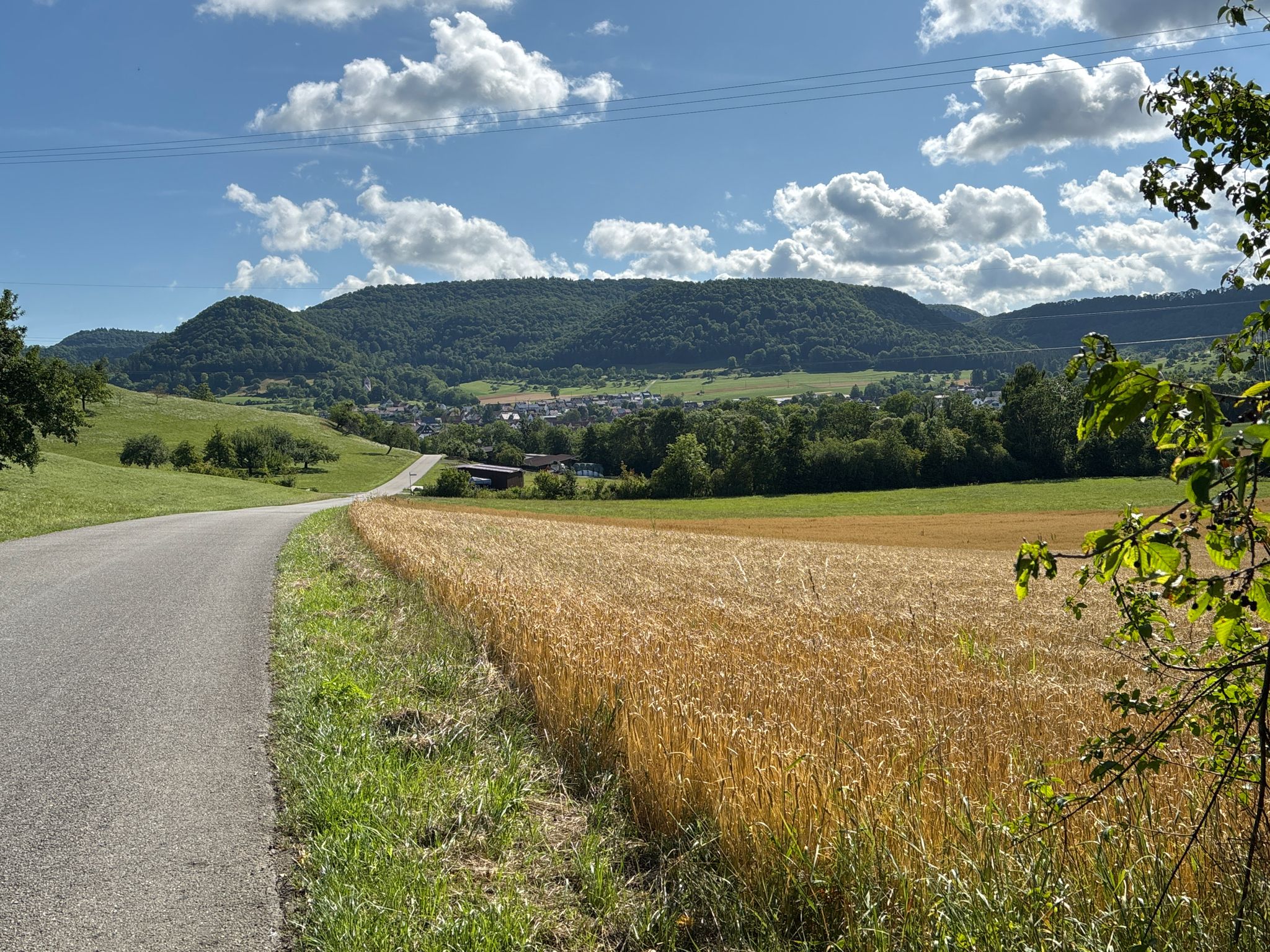 Weg nach Talheim