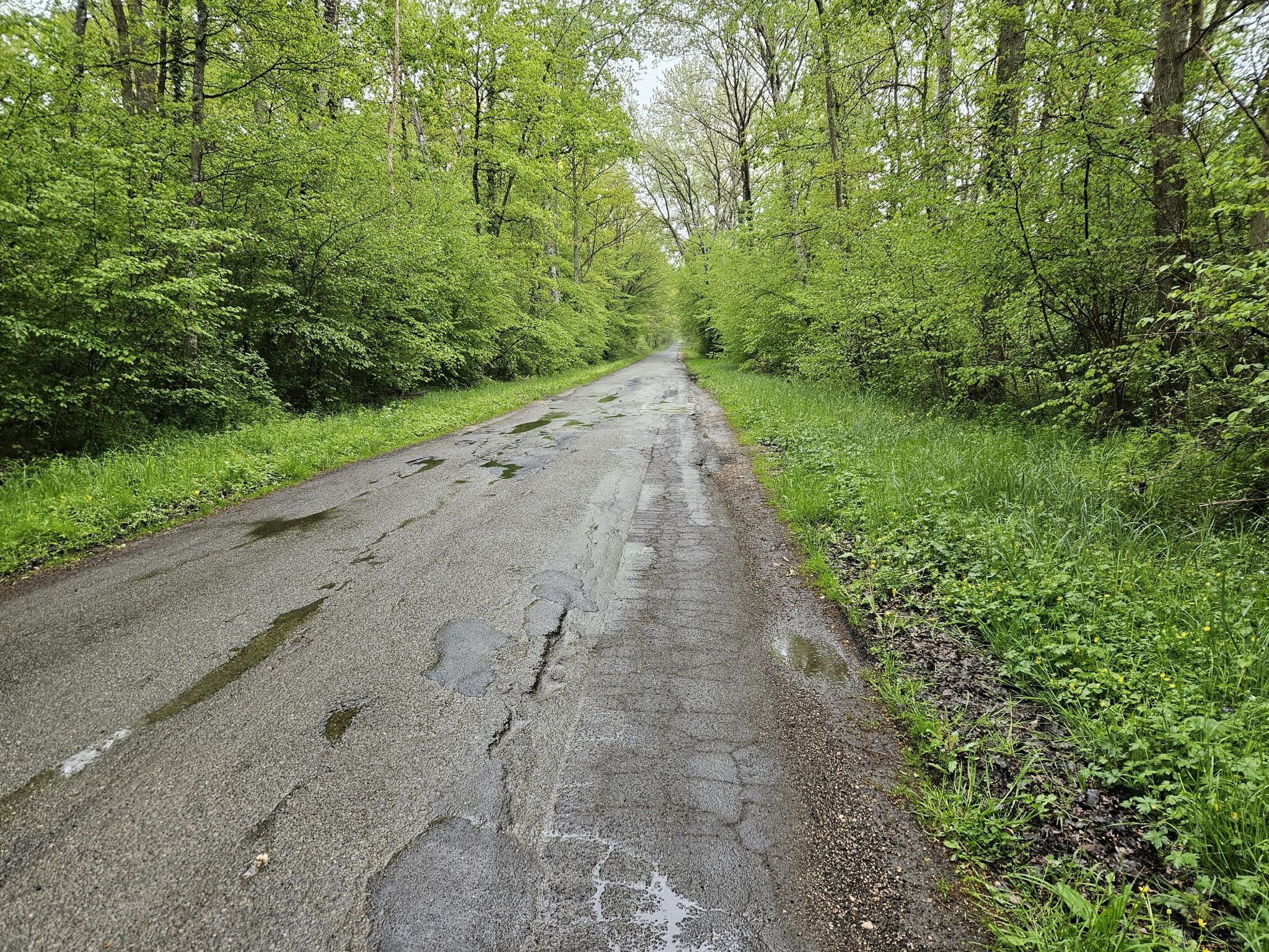 apres la beauce les bois ouf