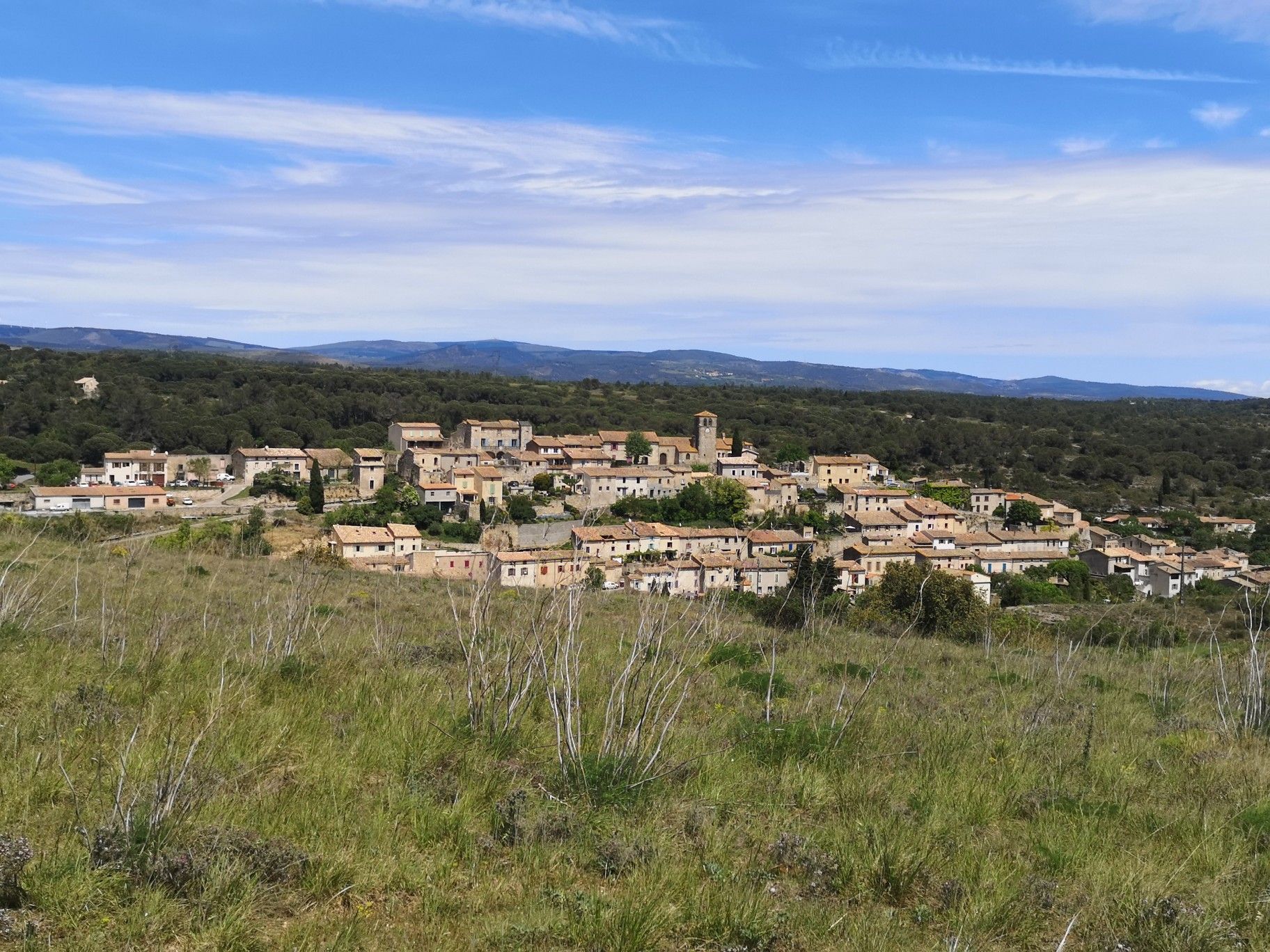 Aragon