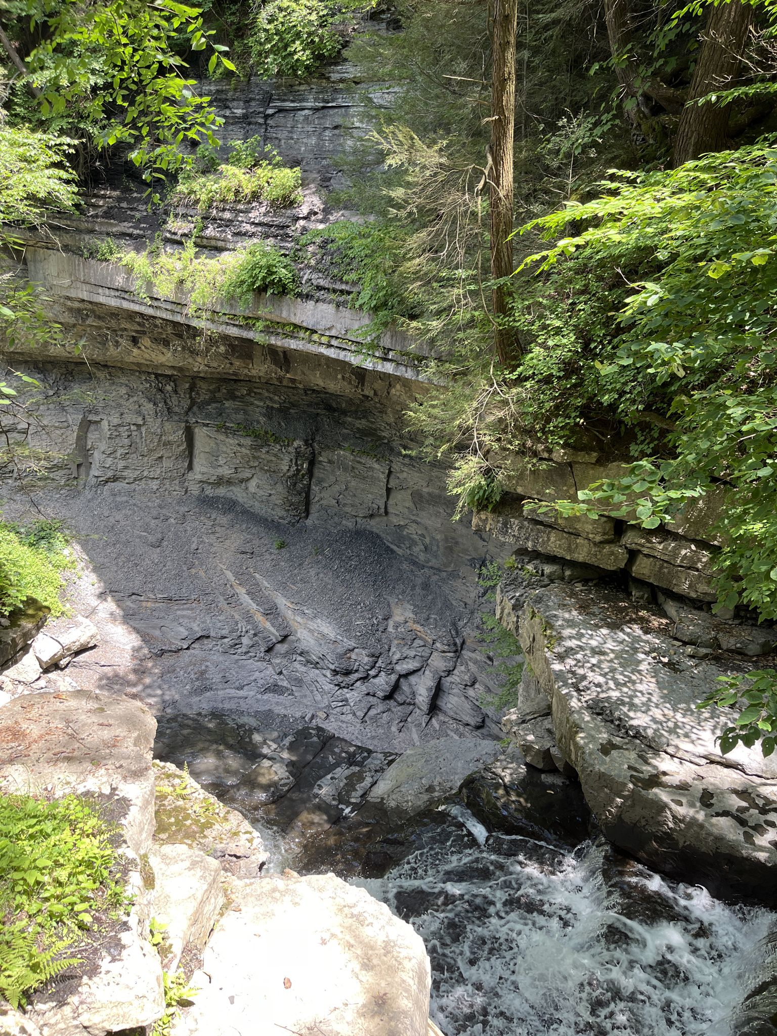 Sunny view of a stream cascading through a rocky gorge with lush green trees. - Gorge and South Rim Loop