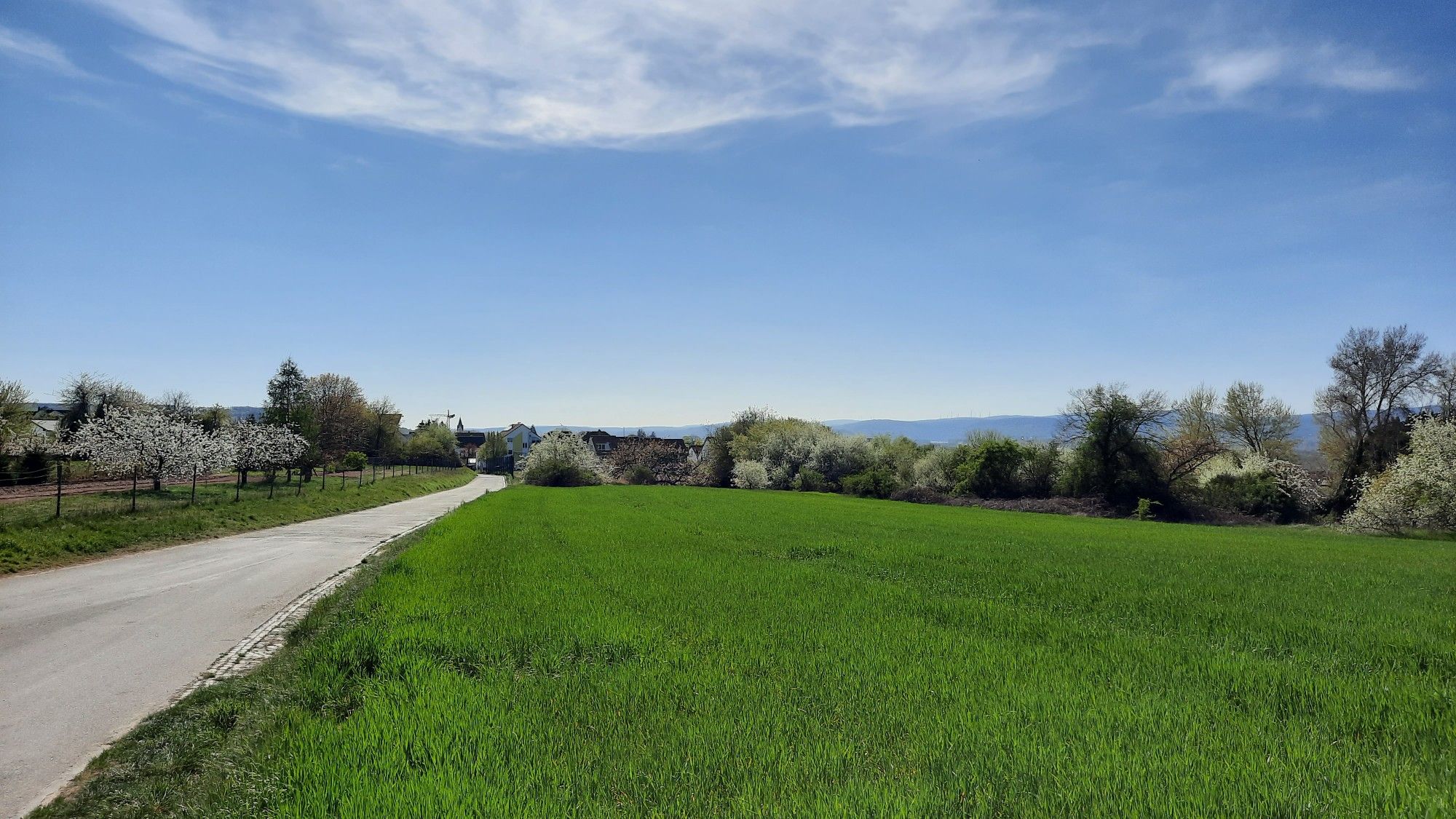 Nieder-Ingelheim