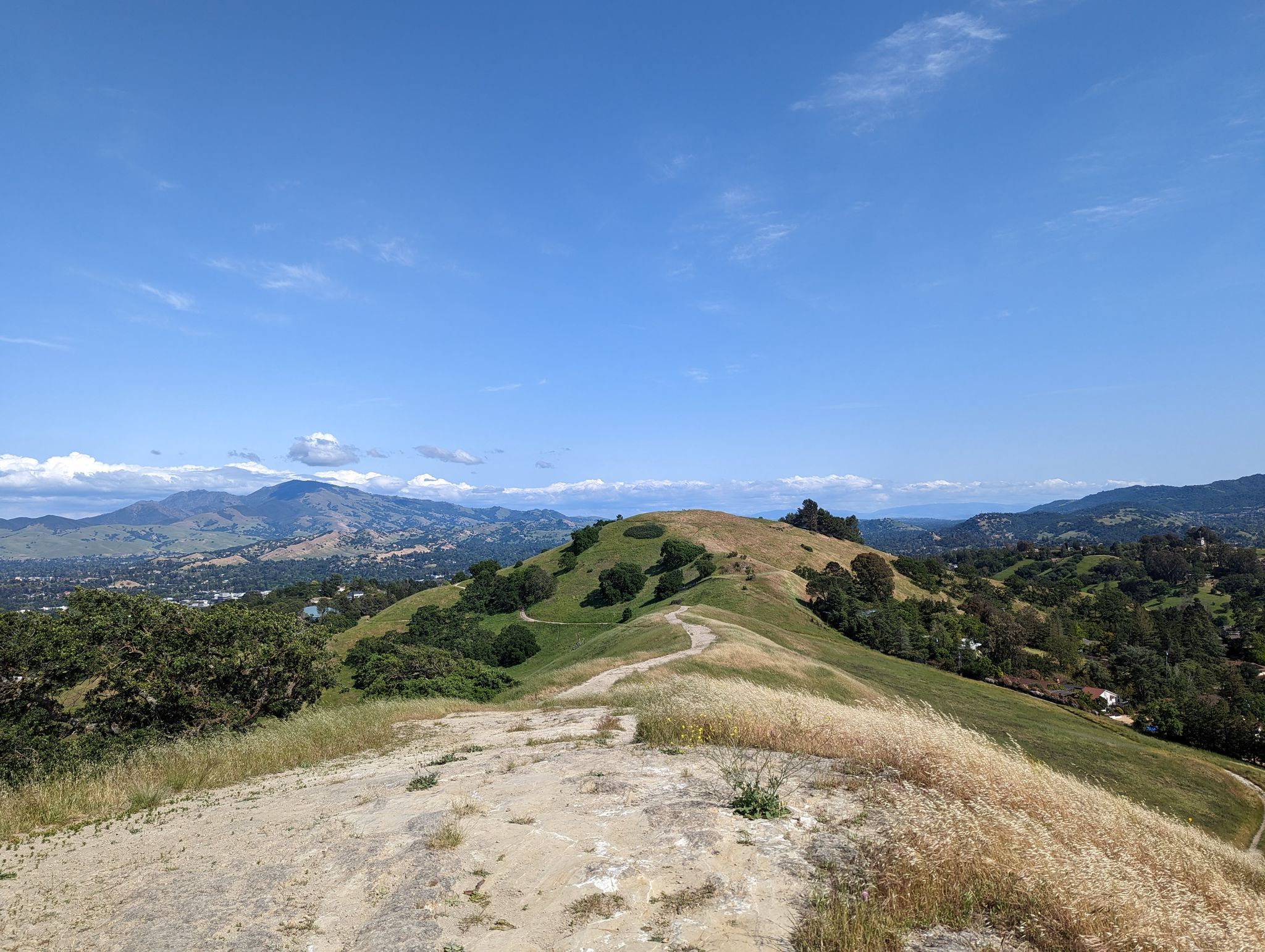 A dirt path winds over sunlit green and golden rolling hills under a blue sky. - Camino Verde and Ridge Top Trail Loop
