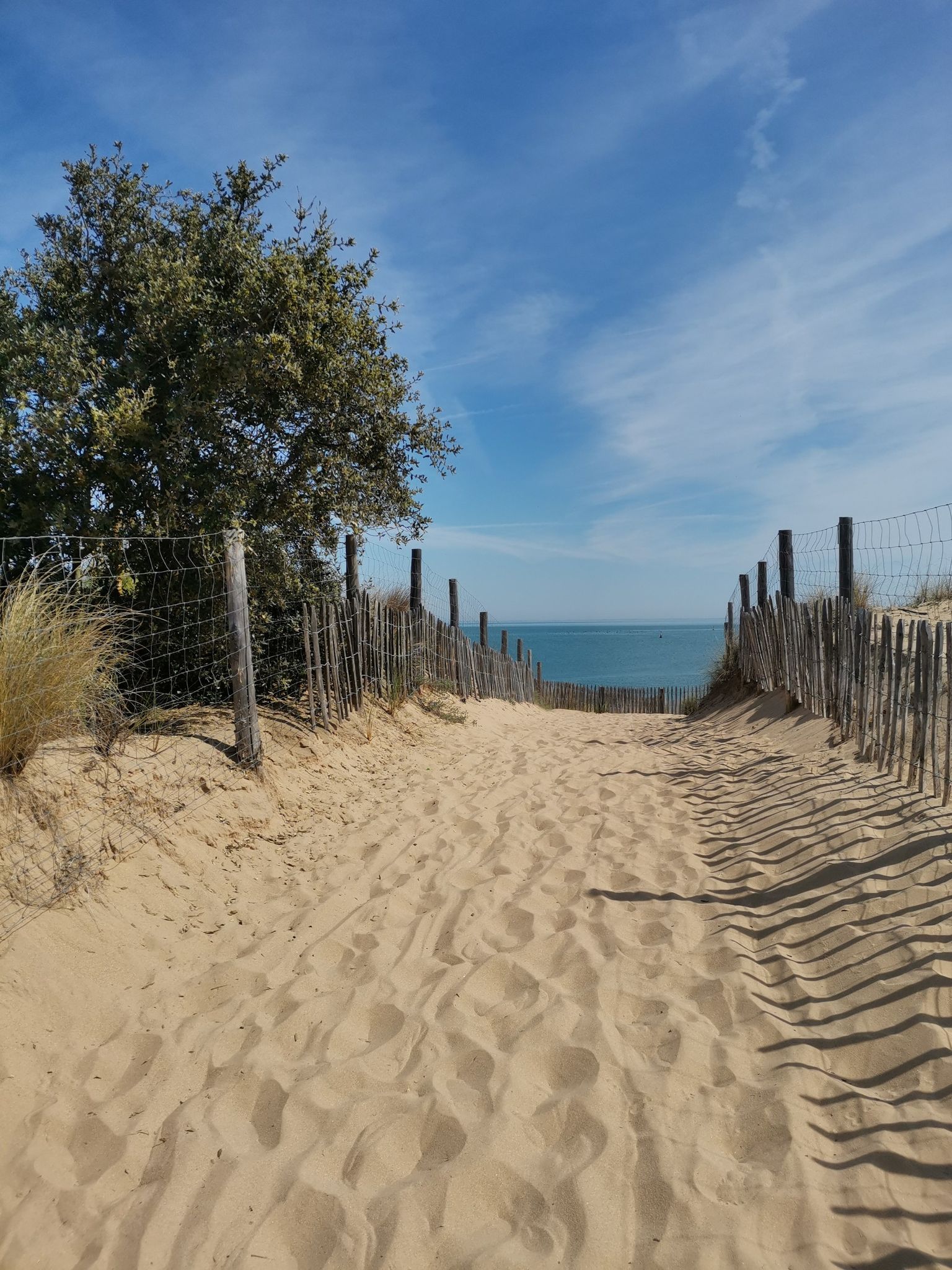 plage de boyard ville