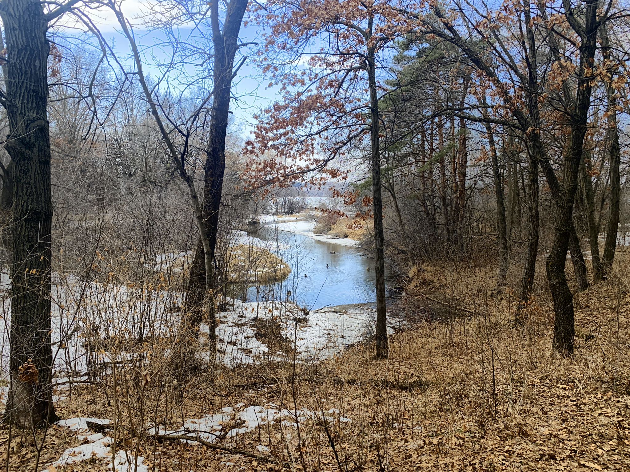 Winding river through snowy, wooded landscape with bare trees under bright sky. - Staring Lake Loop Trail