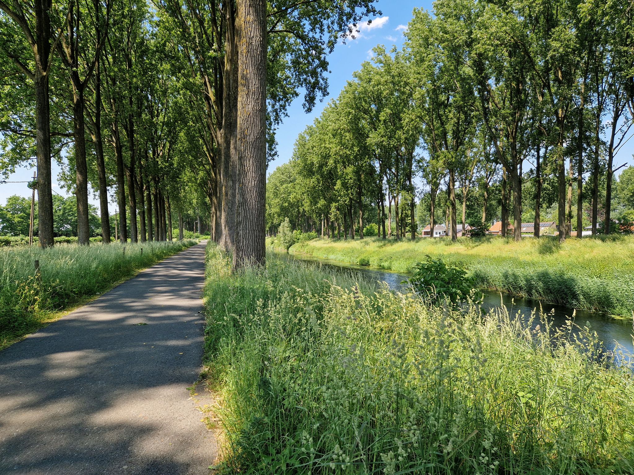 Langs het Schipdonkkanaal bij Strobrugge
