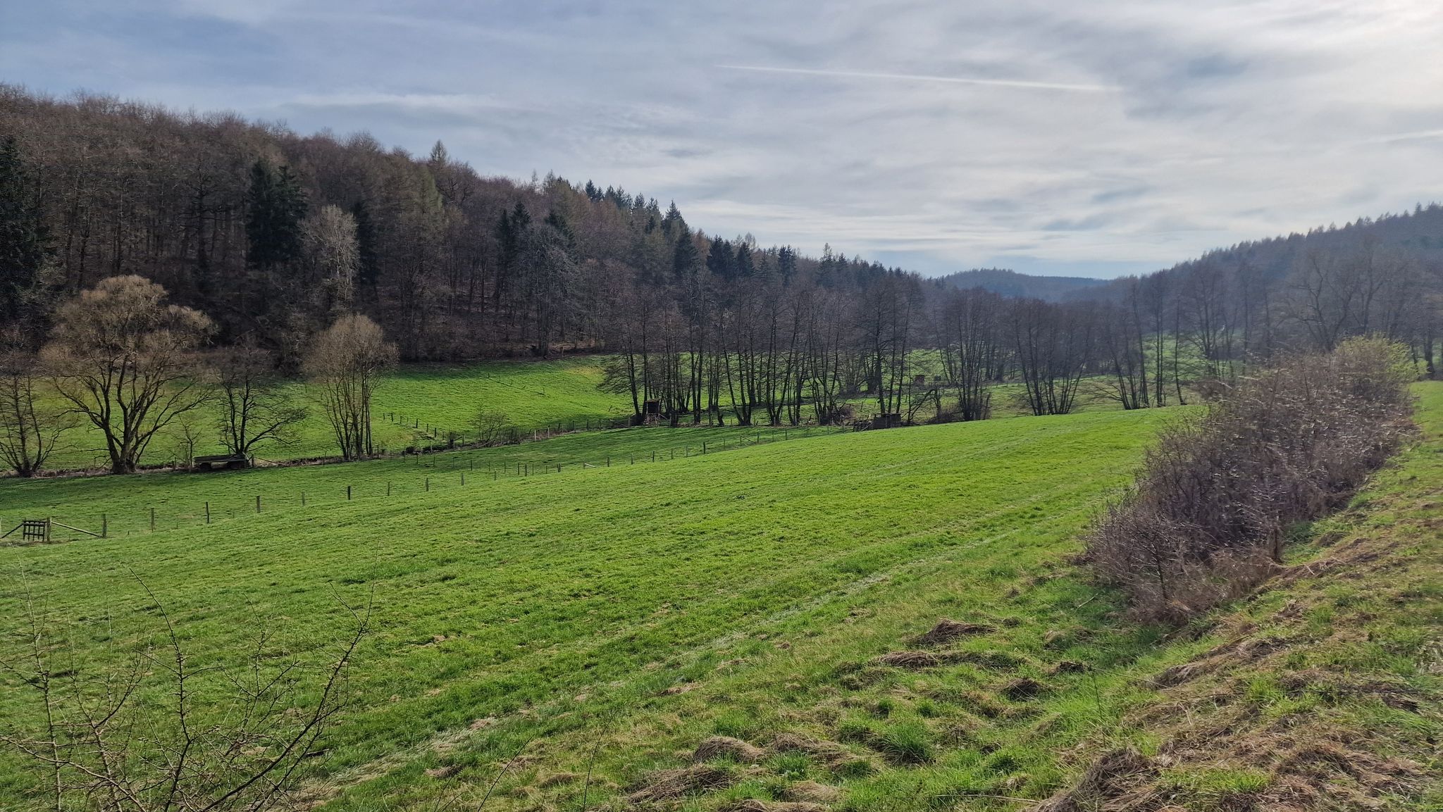 Vorzeige-Sollingtal
