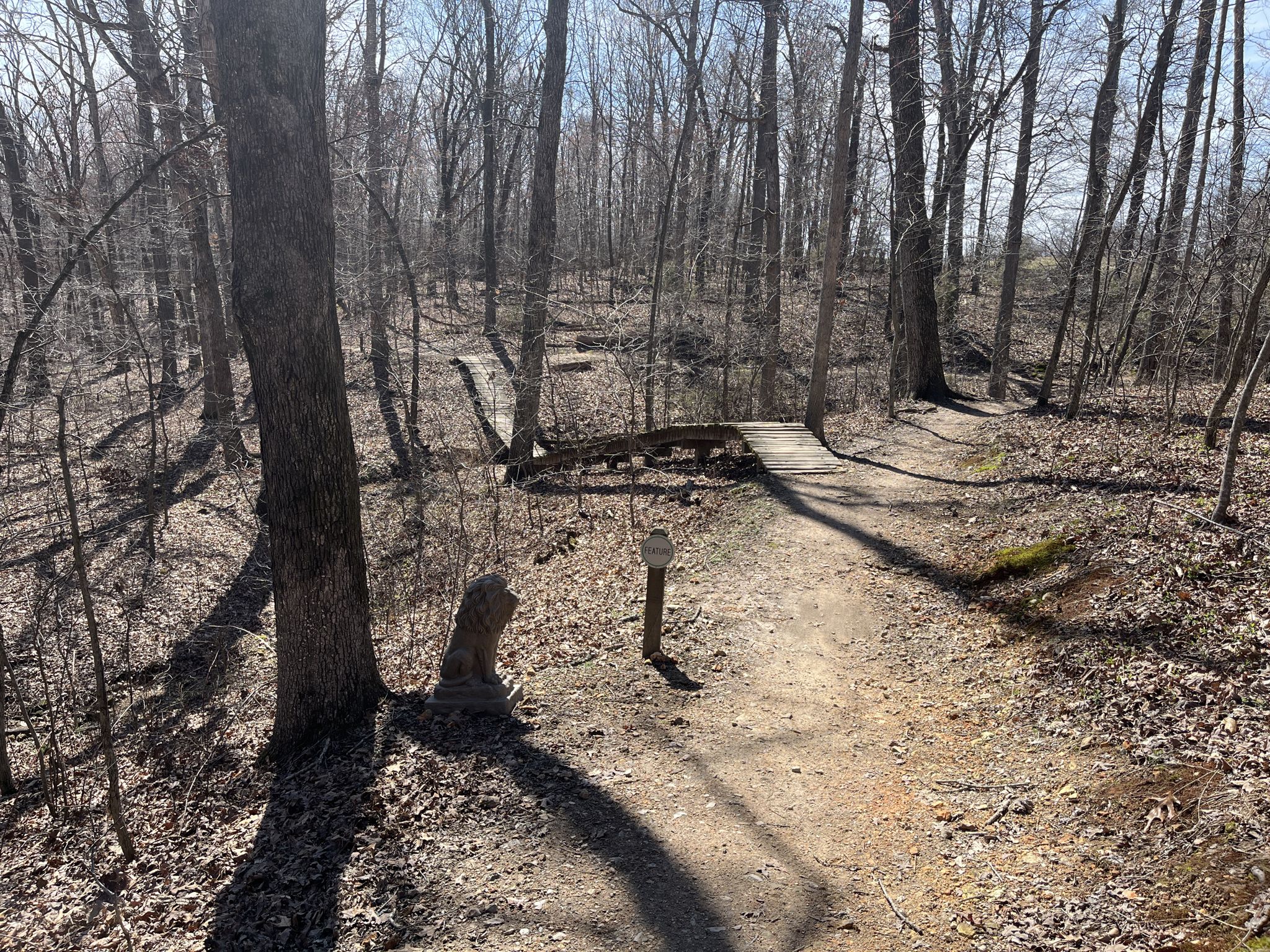 Dirt path leading to a wooden bridge in a bare forest. - Back 40 Trail Sculptures loop from Rago
