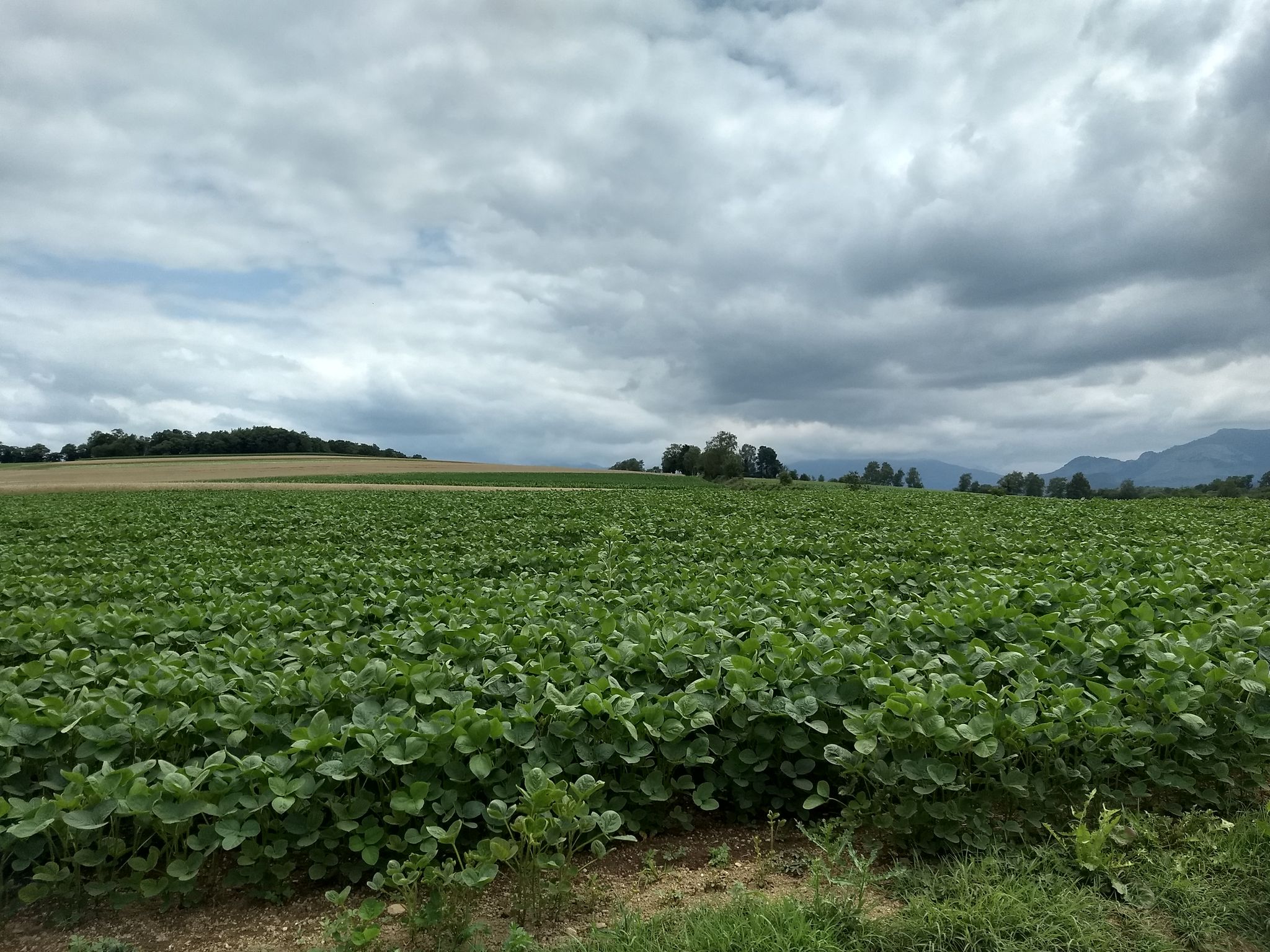 En attendant l'orage.