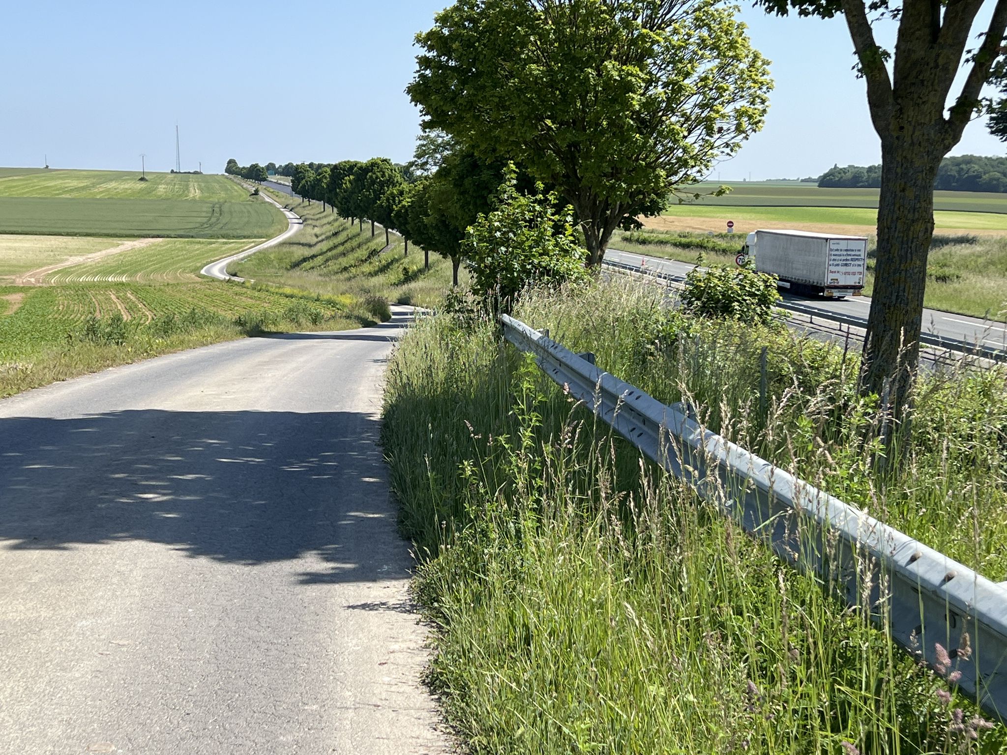 N51