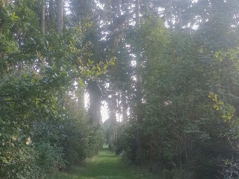 🚶‍♂️Wanderung von Plauen nach Straßberg ☀️🌅🫂 Wanderung Komoot