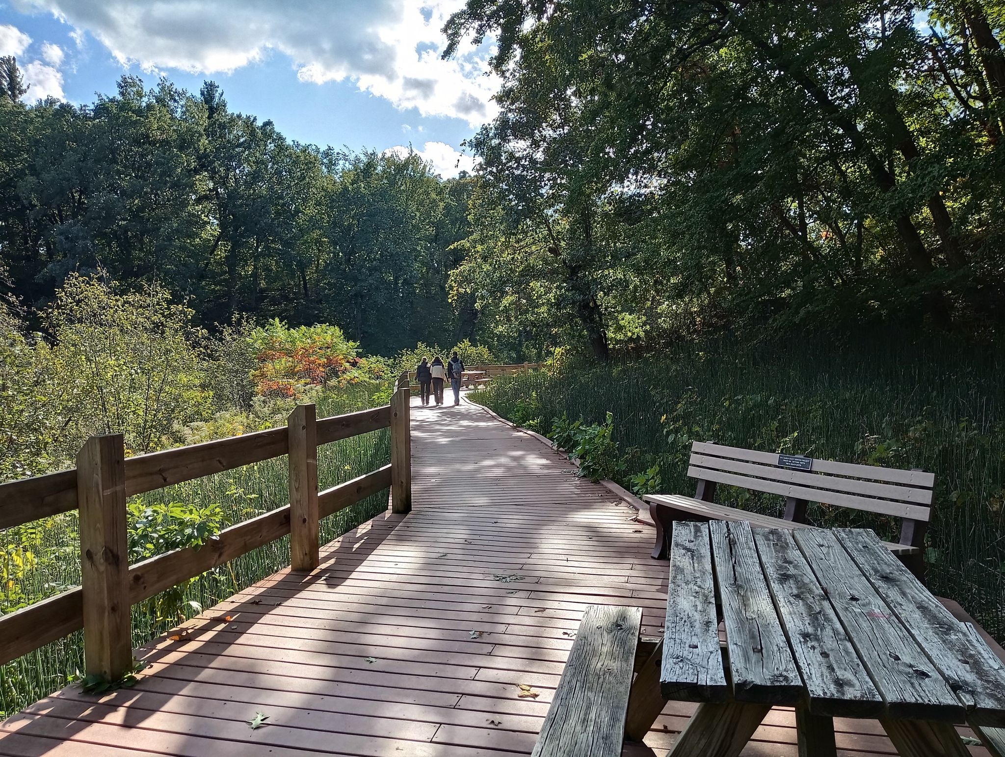People walk on a wooden boardwalk through a lush green forest. - Waverly Beach Trail