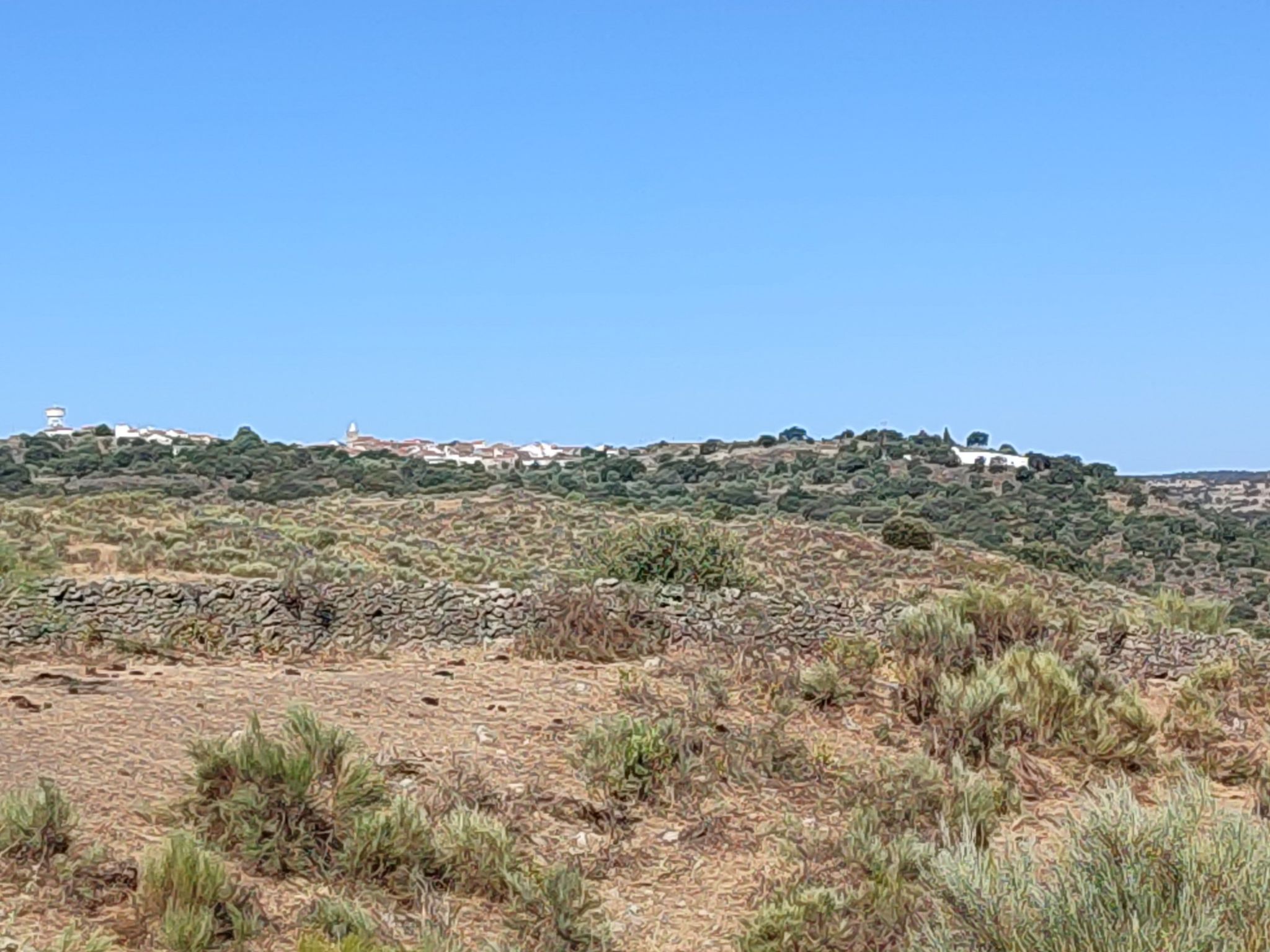 vistas salva terra