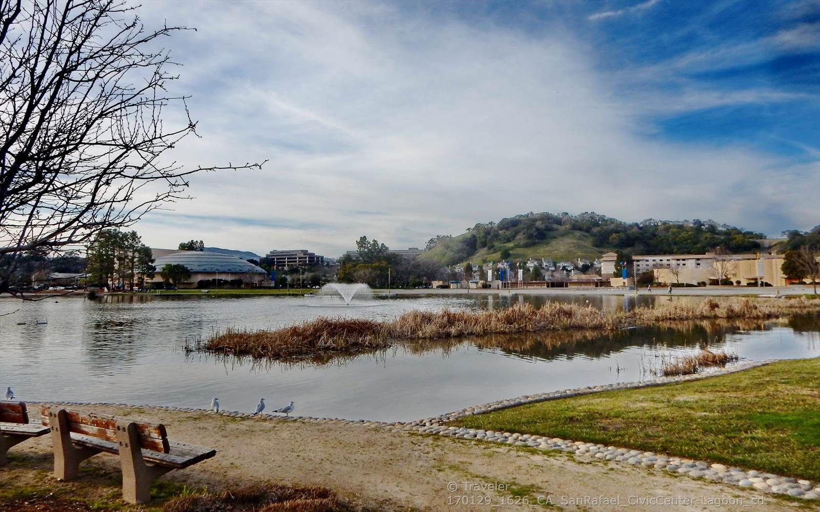 Marin Civic Center Lagoon