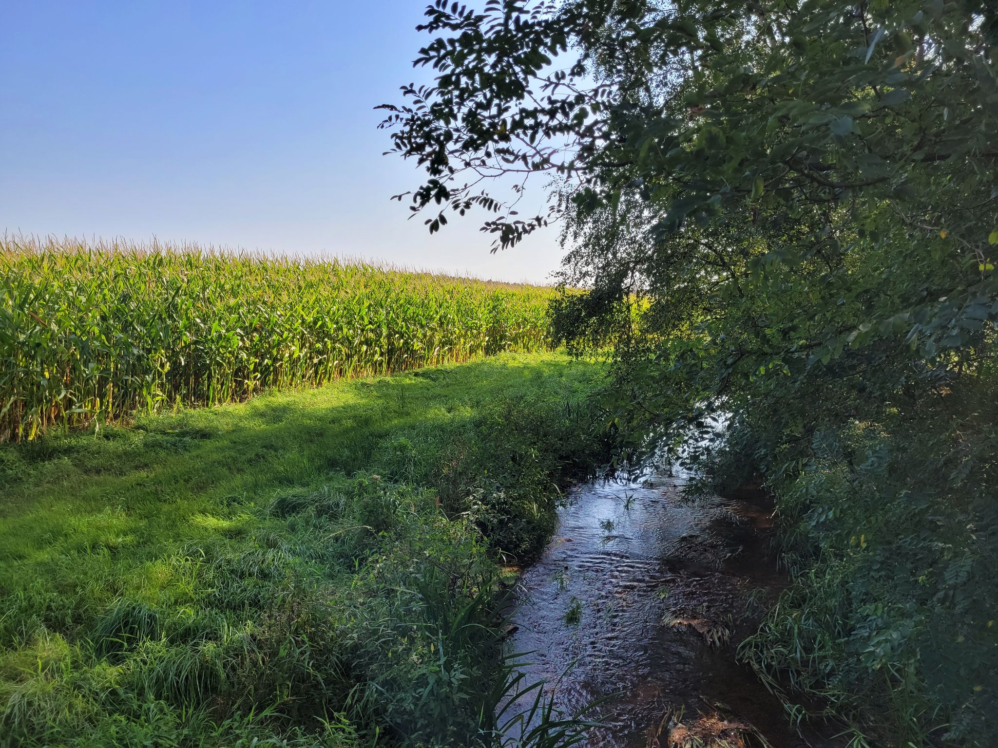Schwarzwasser