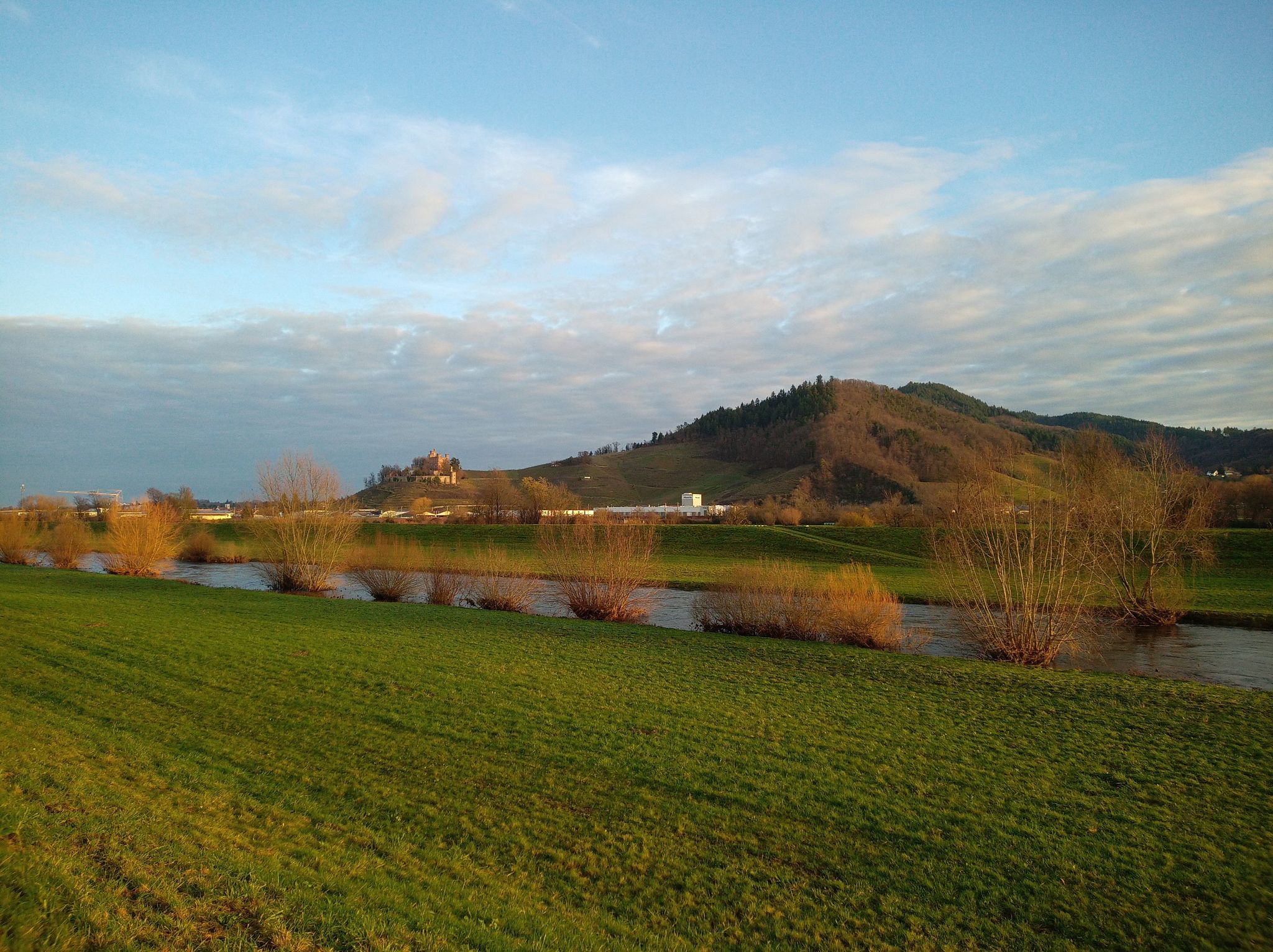 Schloss mit Köpfle