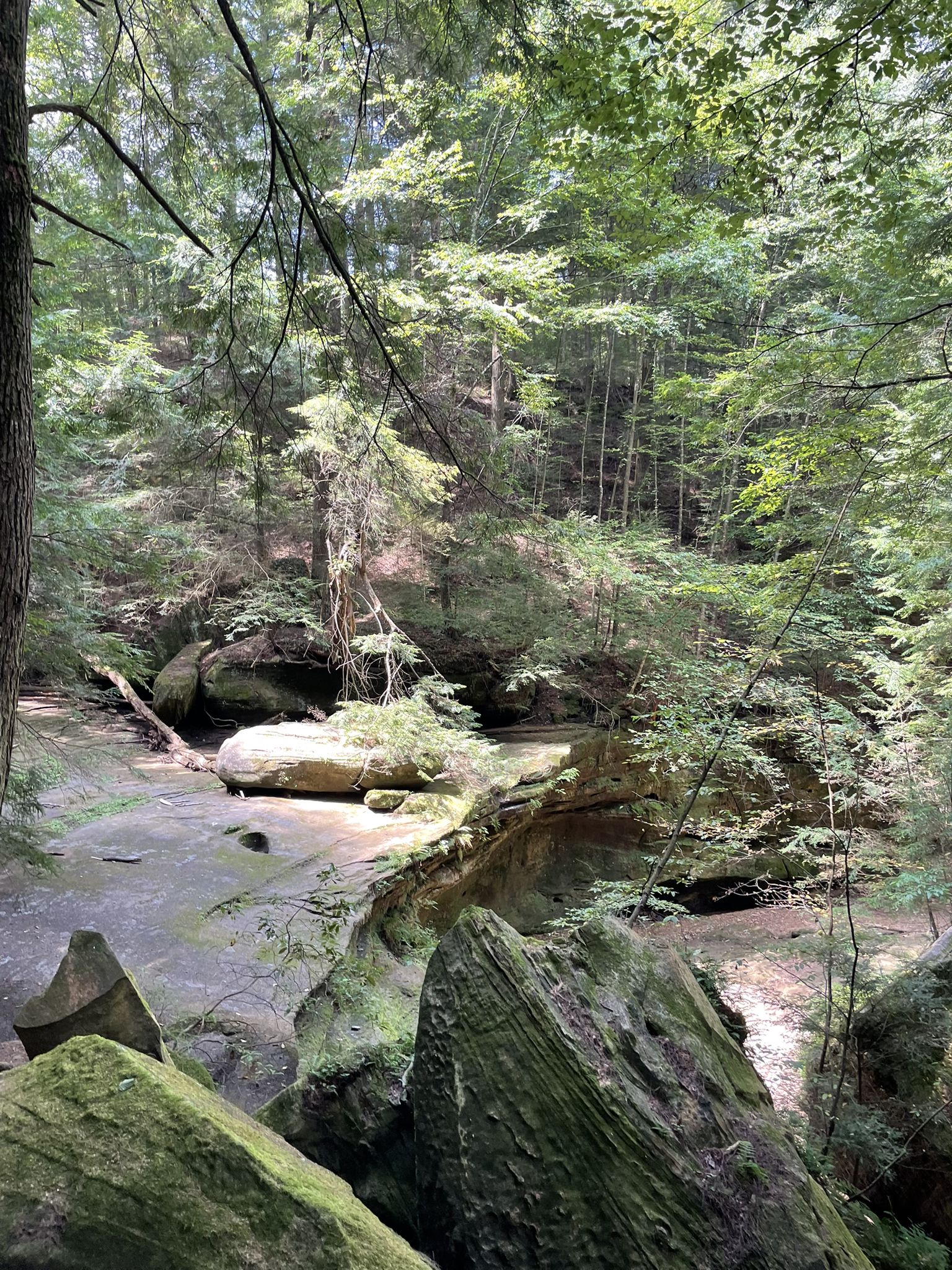 Sunlit forest gorge with large mossy rocks and a shallow stream bed. - Cedar Falls – Lower Falls loop from Hocking Hills State Park