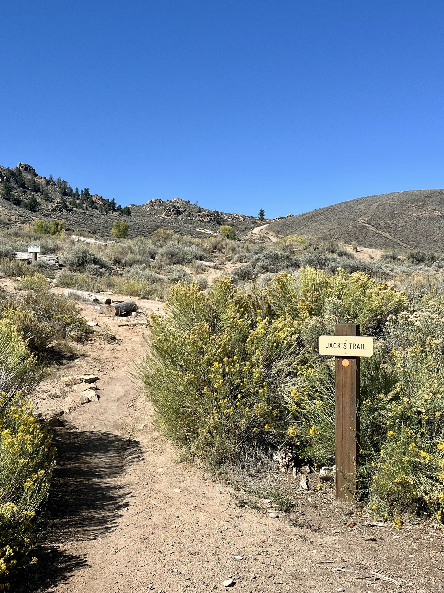 A dirt trail sign stands amidst arid shrubs under a bright blue sky. - Big Loop