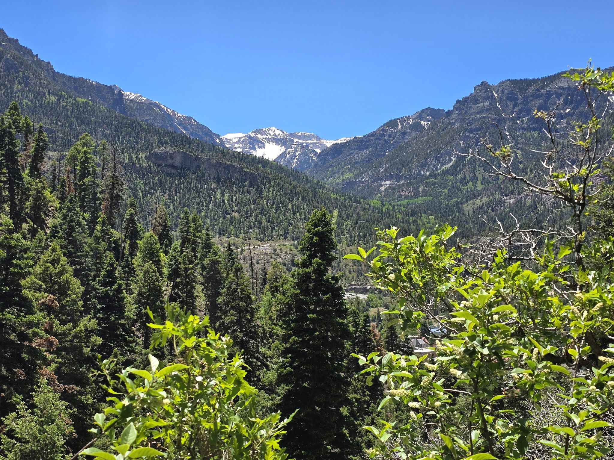 Panoramic view of a forested mountain valley with snow-capped peaks under clear sky. - Lower Cascade Falls Trail