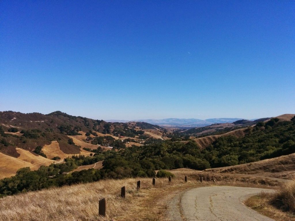 A winding dirt road through golden hills under a clear blue sky. - Carr Ranch Loop and Rocky Ridge Trail