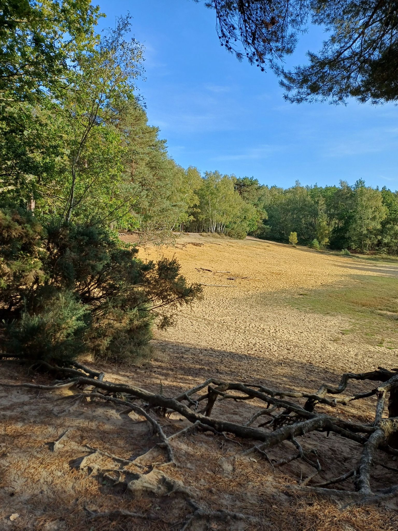 Continue straight with the sand pit on your left side