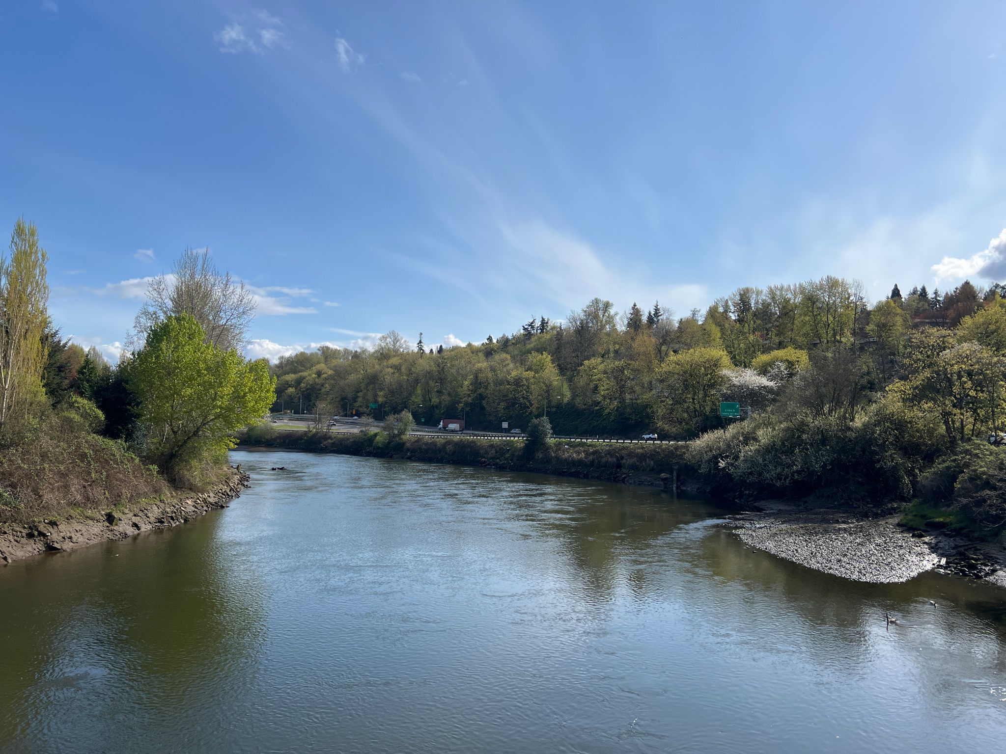 A wide river flows past green trees under a bright, partly cloudy sky. - Alki Trail loop from Kent