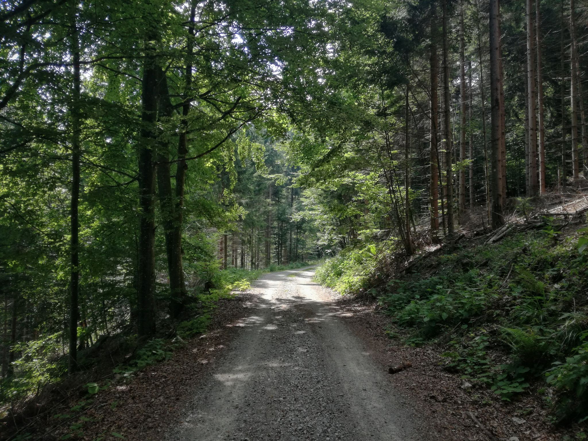 Sentiero 3