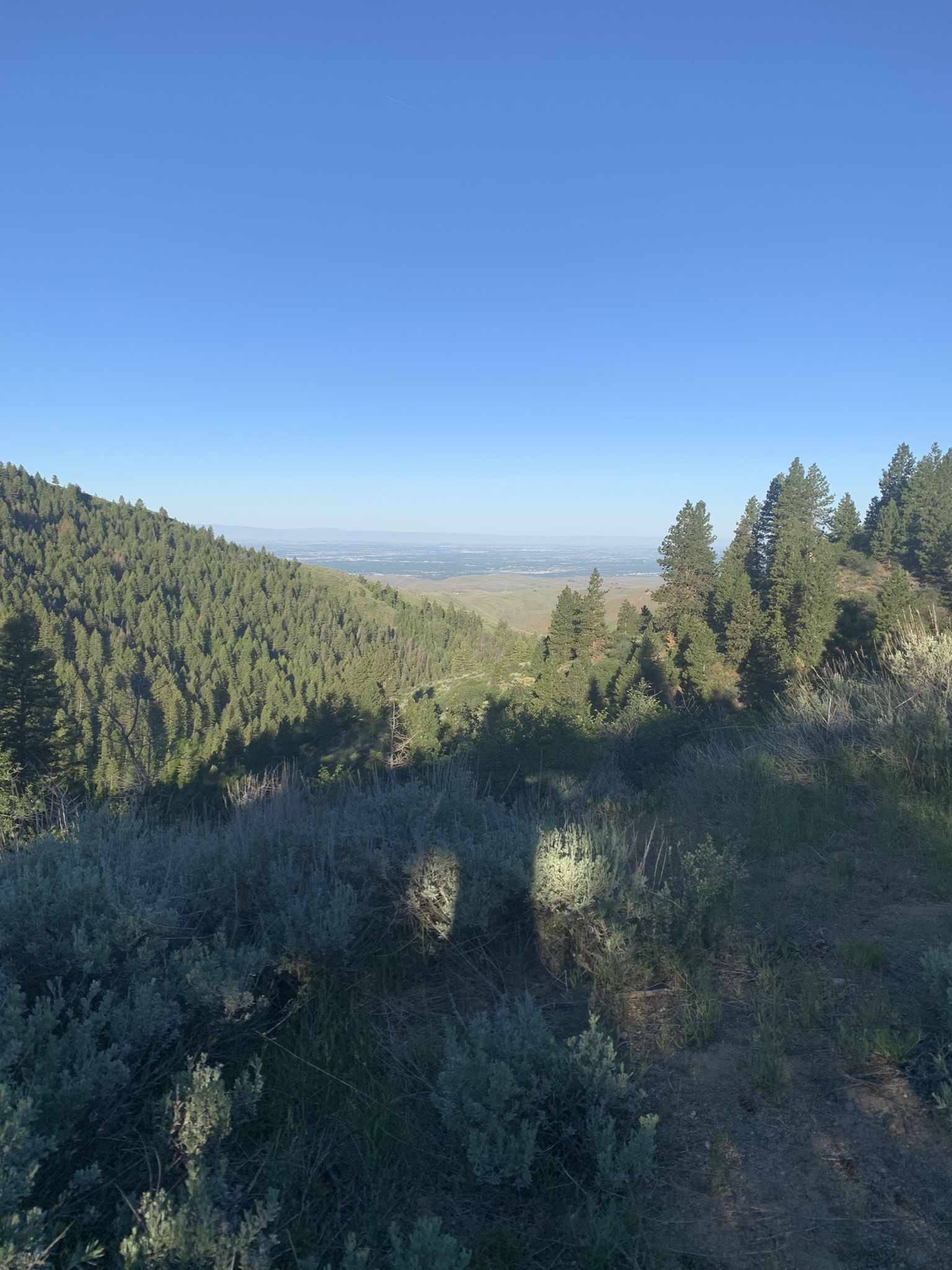 Sunny view of a forested valley opening to distant plains under clear sky. - Shingle Creek and Dry Creek Loop Trail