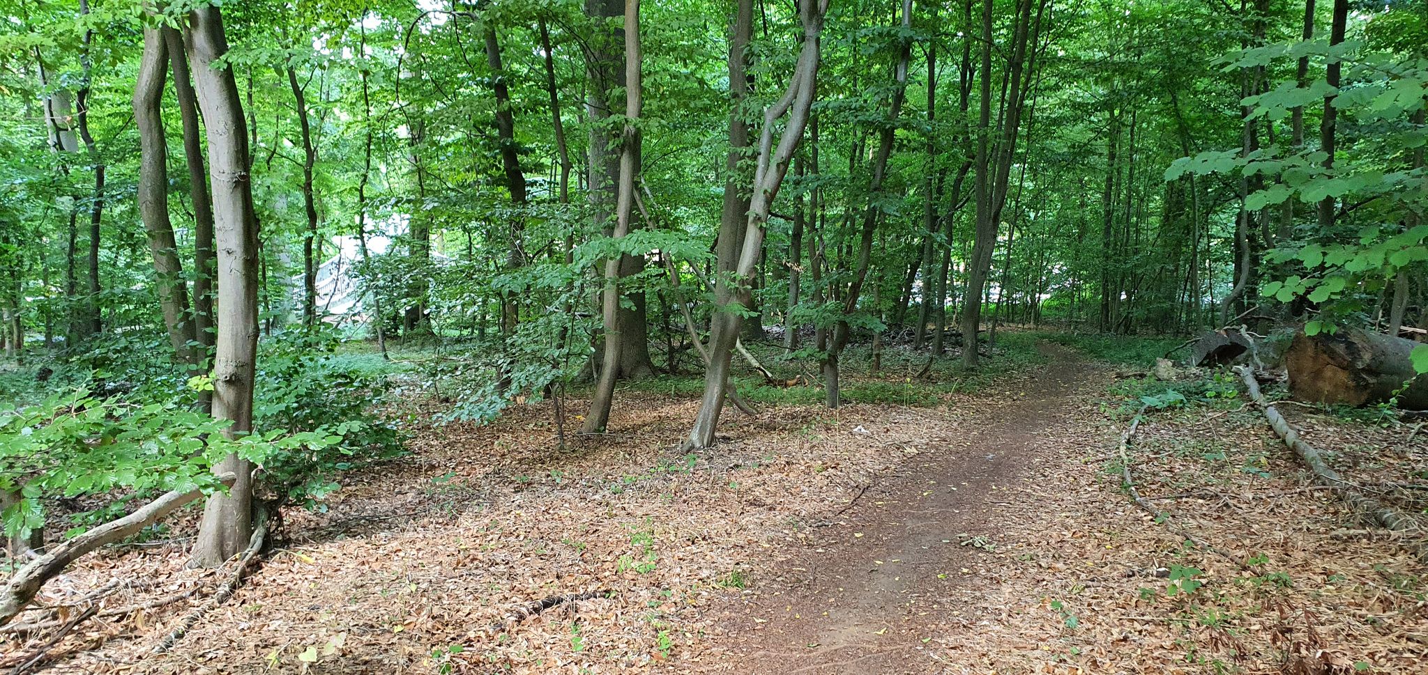 hier gehts zurück zur Brücke BS-Straße