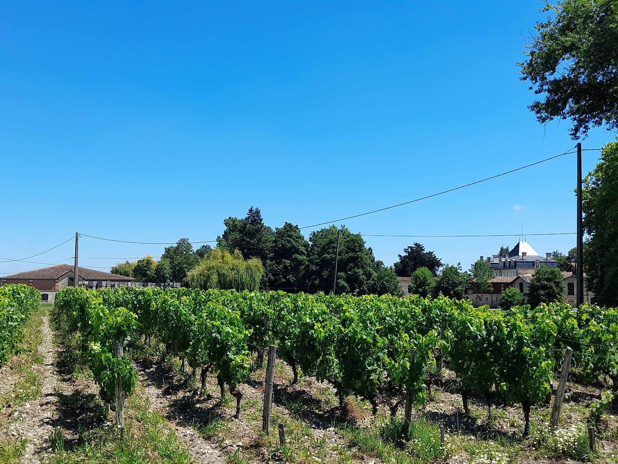 chateau M