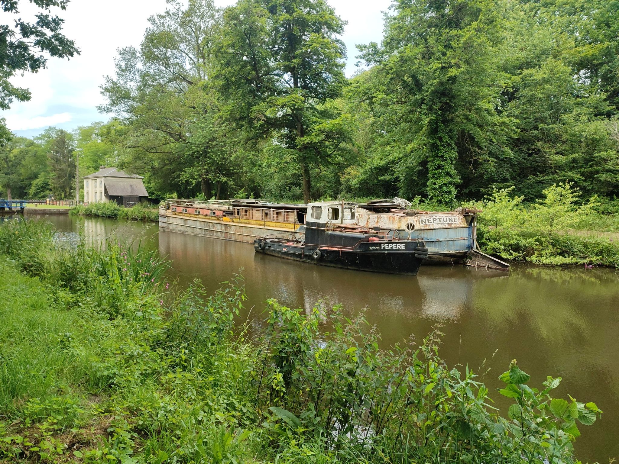 bateau laissé au gré du vent et de la nature