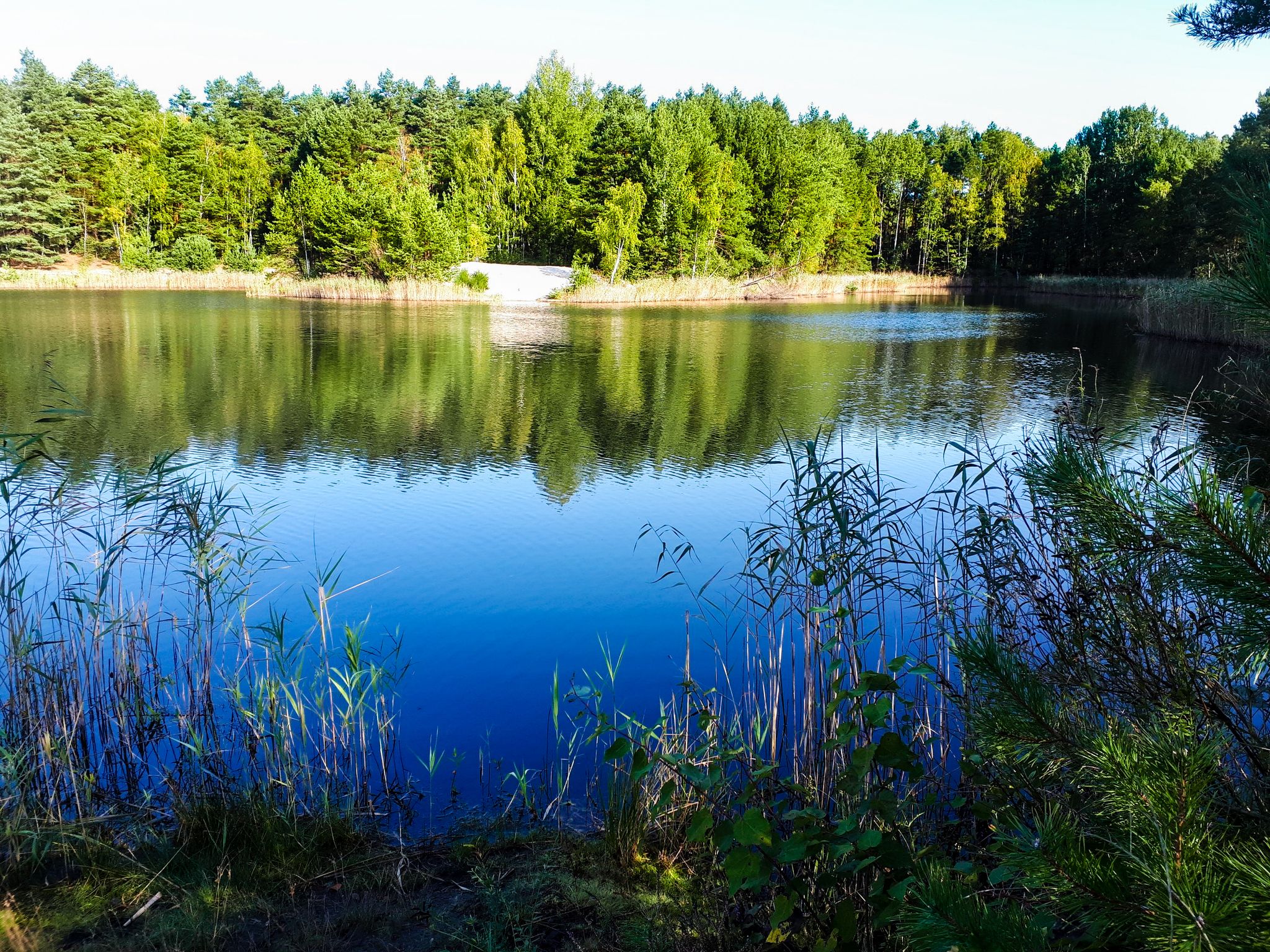 Waldsee Großdüben
